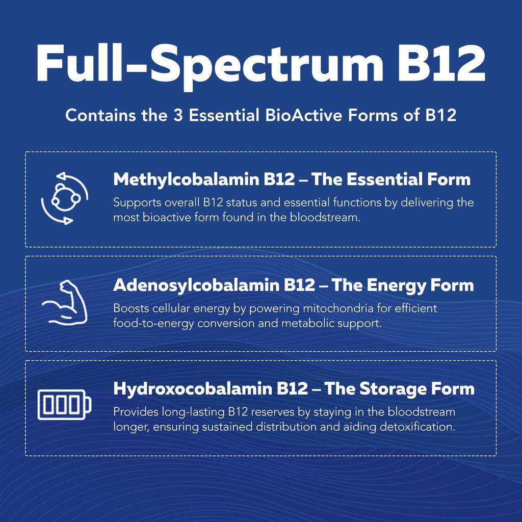 BioActive Vitamin B Complex - Blood Stream Ready, Methylated B Complex - Featuring Methylfolate, 3 BioActive Forms of B12, BenfoPure® B1 & Pantesin