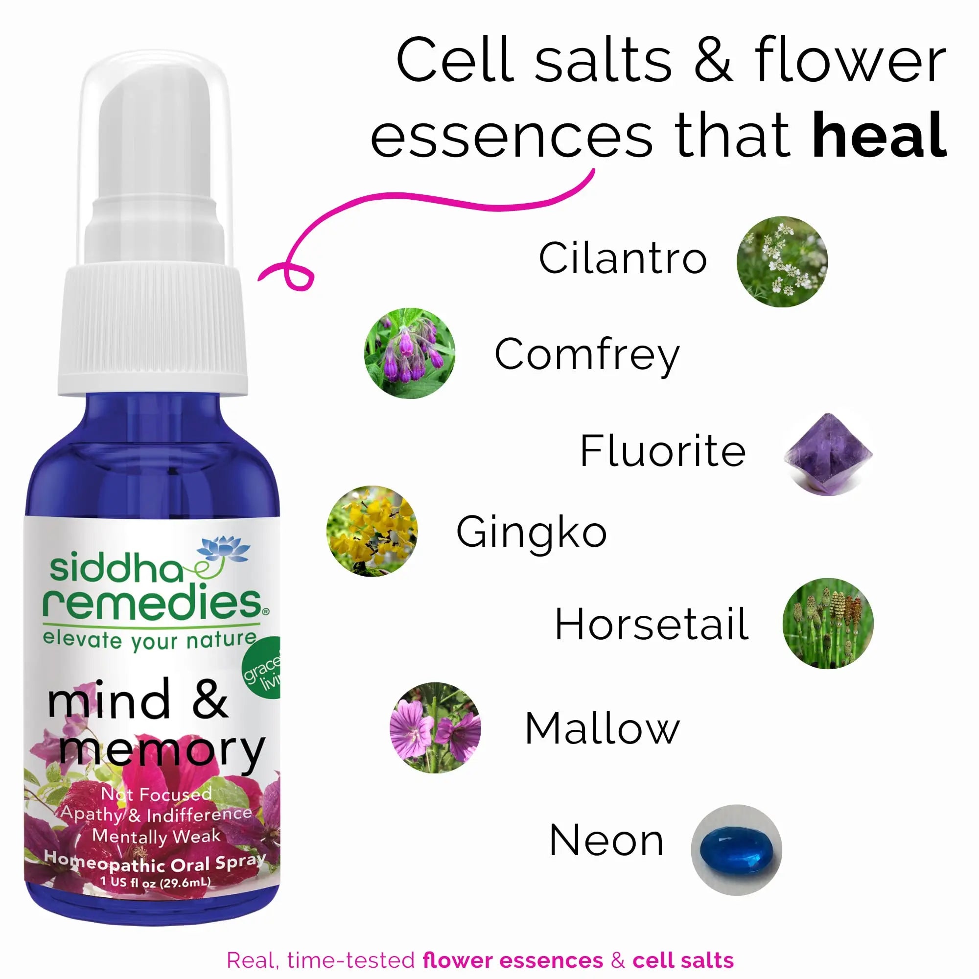 Siddha Remedies Mind & Memory Spray for Apathy, Indifference & Low Focus Siddha Au supplements