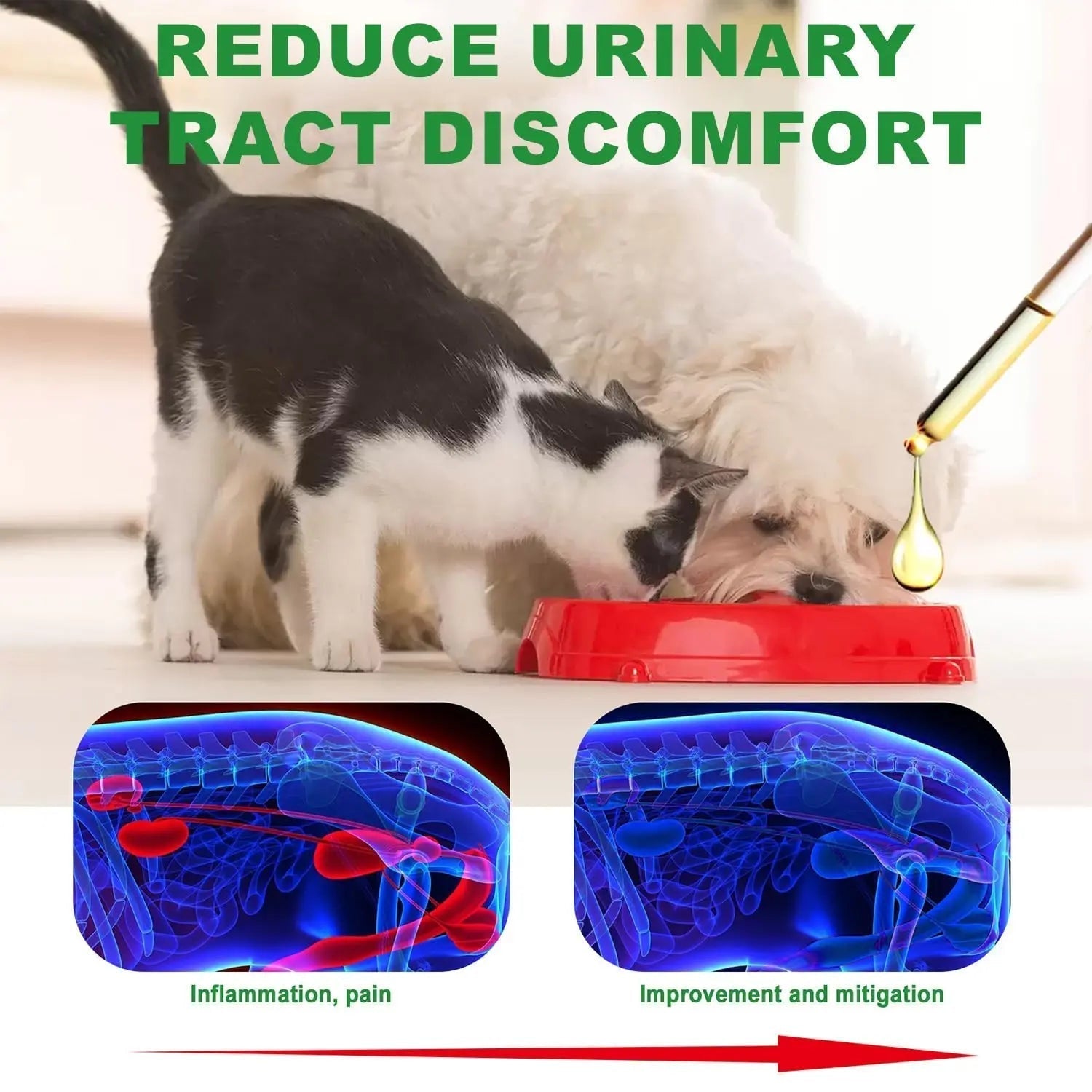 Urinary Tract for Cats, Cat & Dog Urinary Tract Drops Infection Remedy with Cranberry Dog Supplements, Cranberry Kidney Bladder Support Supplement - 60ml / 2 Fl.oz JoanofArc Au supplements