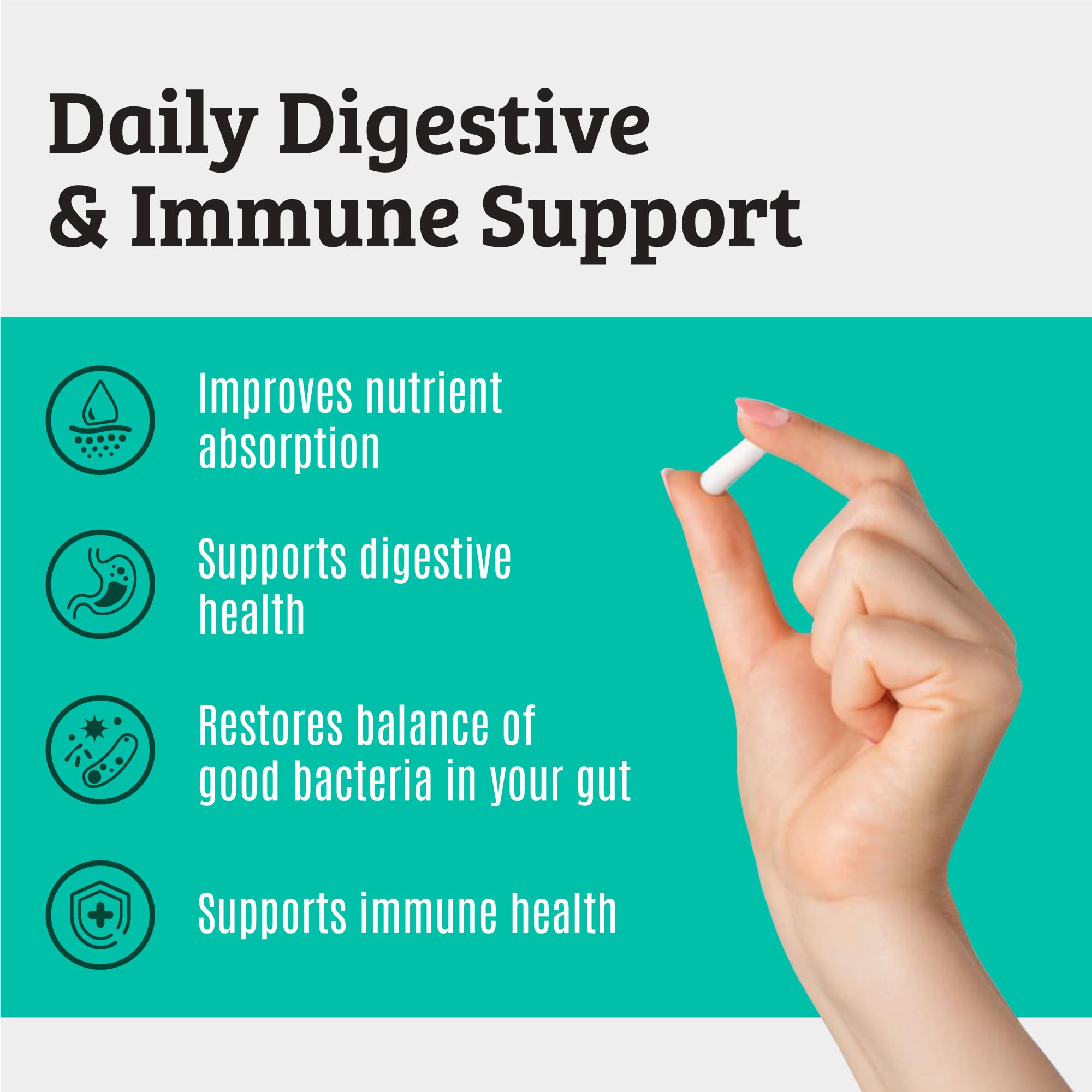Prebiotics and Probiotics: Lactobacillus Gasseri, Lactobacillus Rhamnosus, Plantarum, Casei, Bifidobacterium longum, lactis, infantis. Probiotic Prebiotic,