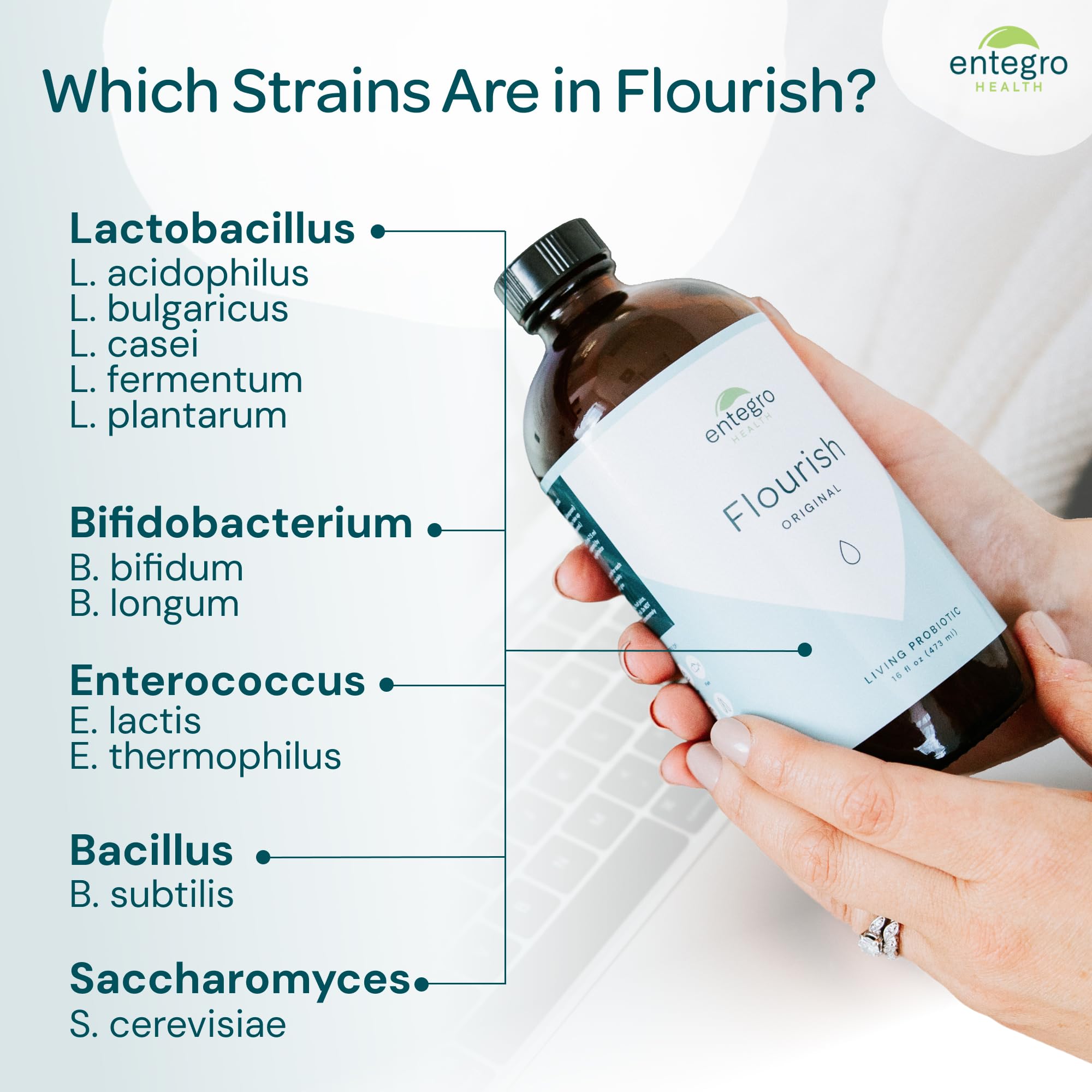 ENTEGRO Flourish Original Liquid Probiotic & Postbiotic Supplement - Glass | 11 Live Cultures | Gut & Digestive Health for Women, Men & Kids | Organic, Vegan