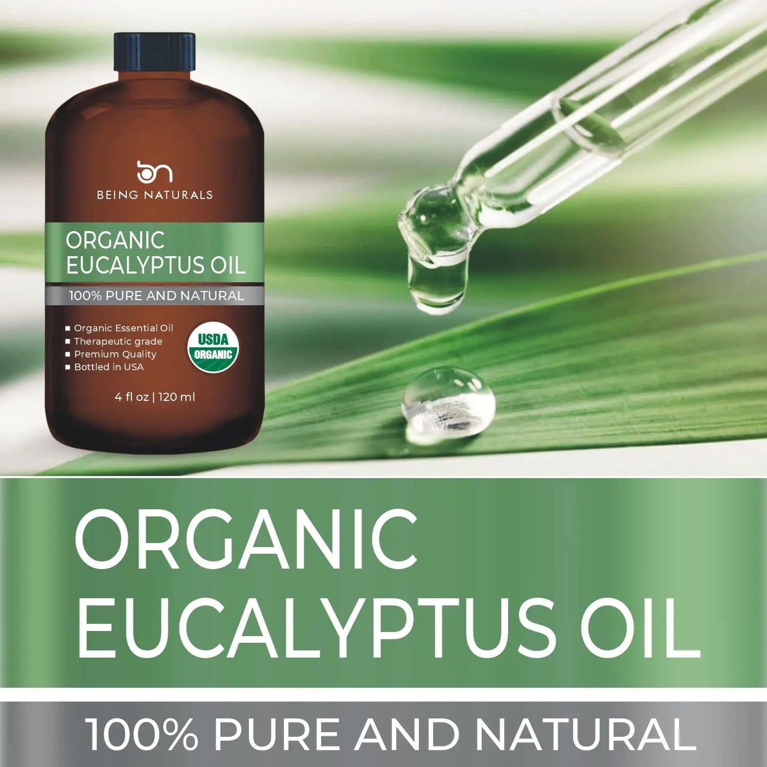 Organic Eucalyptus Essential Oil - Huge 4 FL OZ - 100% Pure & Natural – Premium Natural Oil Being Naturals Au supplements