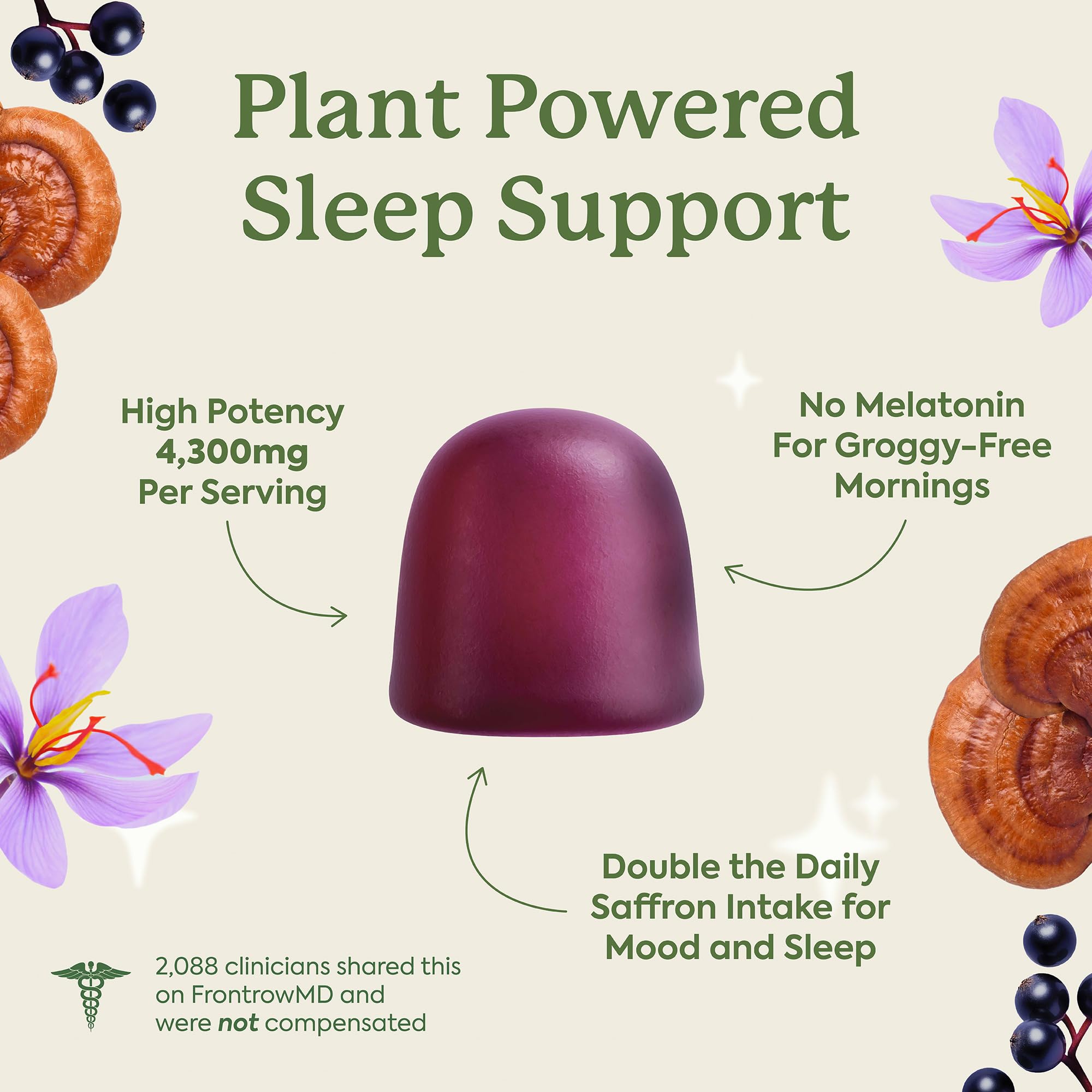 Plant People WonderSleep Mushroom Gummies Supplement for Sleep, No Melatonin with Reishi Super Mushrooms, Wild Elderberry Flavor, Sugar-Free (60 Count)