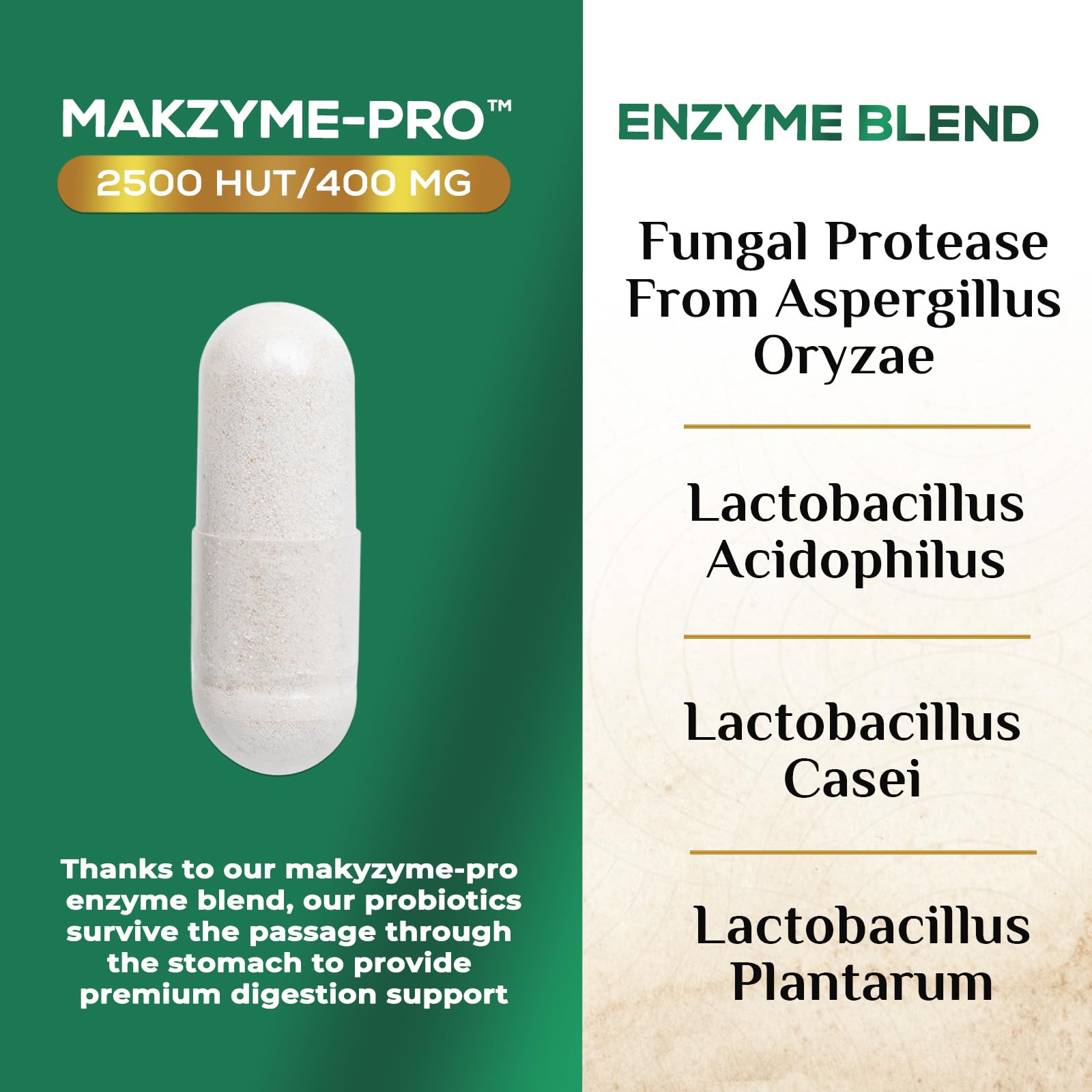 Digestive Enzymes - Super Digestive Multi Enzyme Complex for Bloating & Gut Health Support with Bromelain, Papain, Probiotics & Prebiotics - Digestion Health