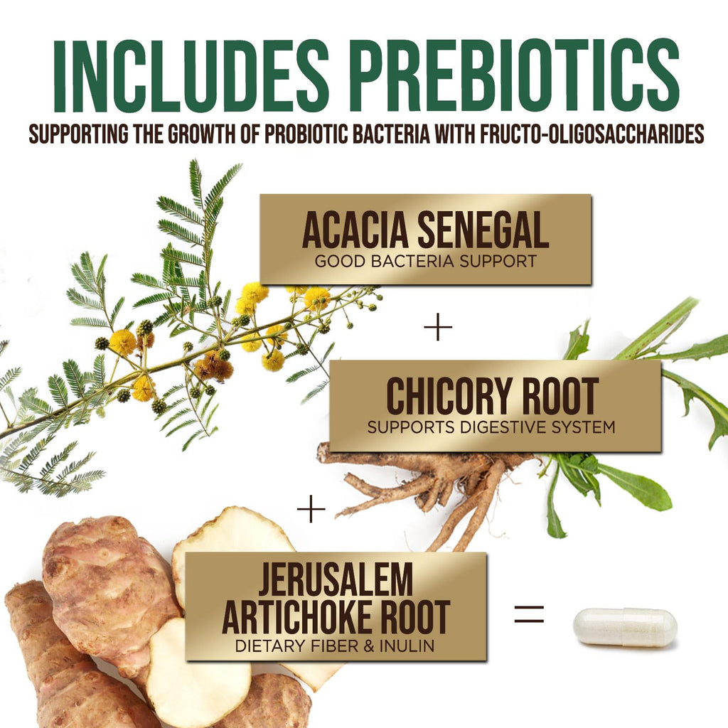 Probiotics 50 Billion CFU per Serving - 10 Strains + Prebiotics - Digestive Health, Gut & Immune Support - Occasional Constipation, Gas & Bloating Support for Women & Men, Bottled USA - 60 Capsules Health Nutrition Naturals Au supplements