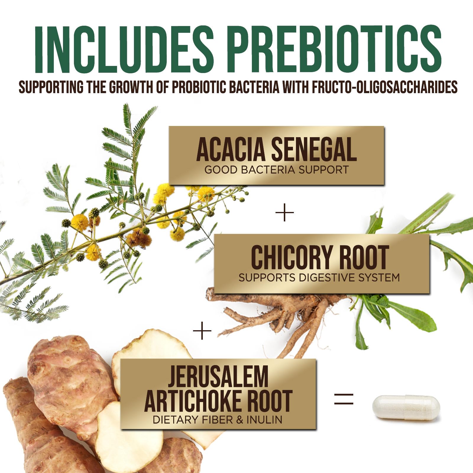 Probiotics 50 Billion CFU per Serving - 10 Strains + Prebiotics - Digestive Health, Gut & Immune Support - Occasional Constipation, Gas & Bloating Support for Women & Men, Bottled USA - 60 Capsules Health Nutrition Naturals Au supplements