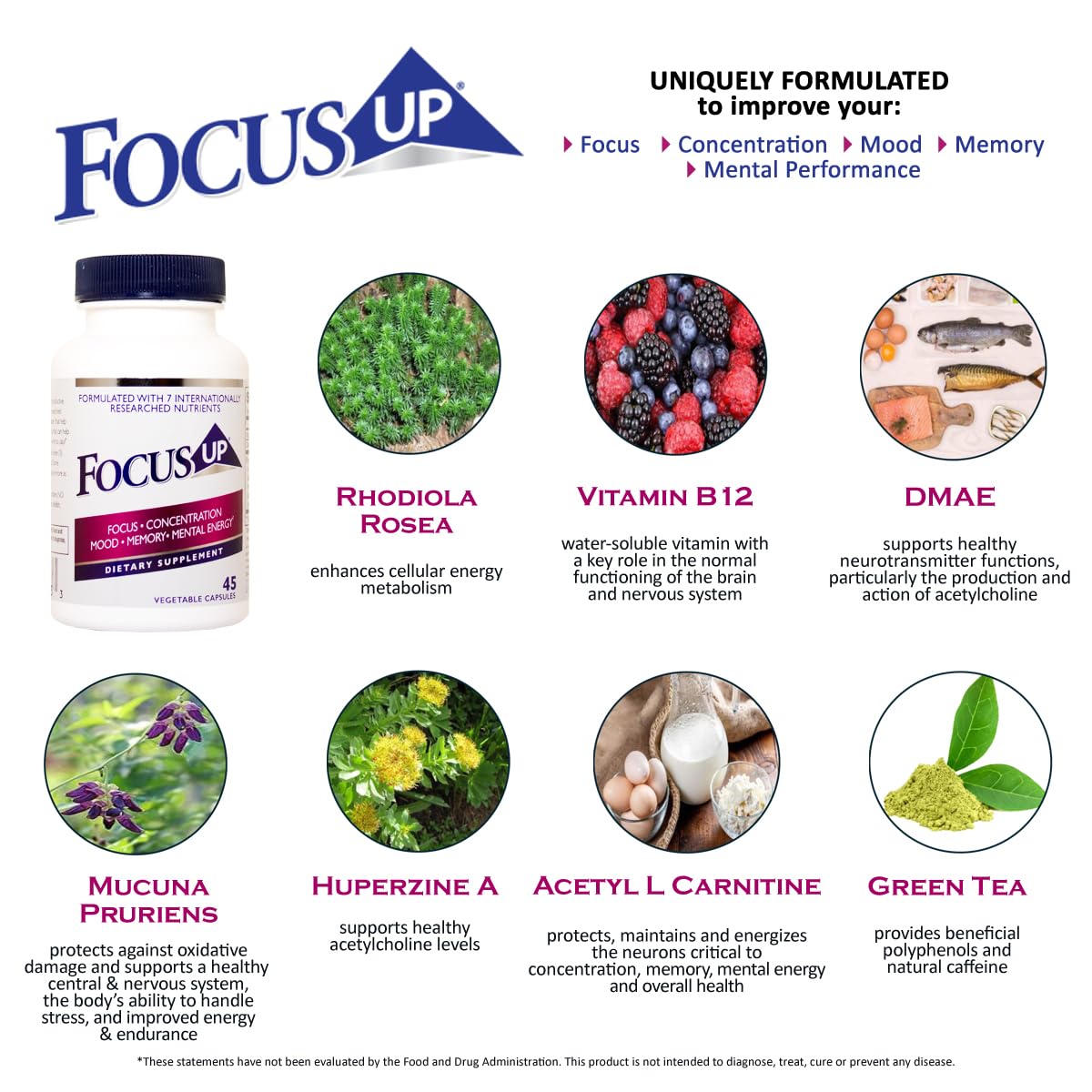 FocusUP Brain & Energy Support Supplement – Natural Nootropic Capsules with Acetyl L-Carnitine, Rhodiola, DMAE & Huperzine-A | Supports Focus, Memory, Mood & Mental Clarity | 45 Sugar-Free Capsules Xooma Au supplements