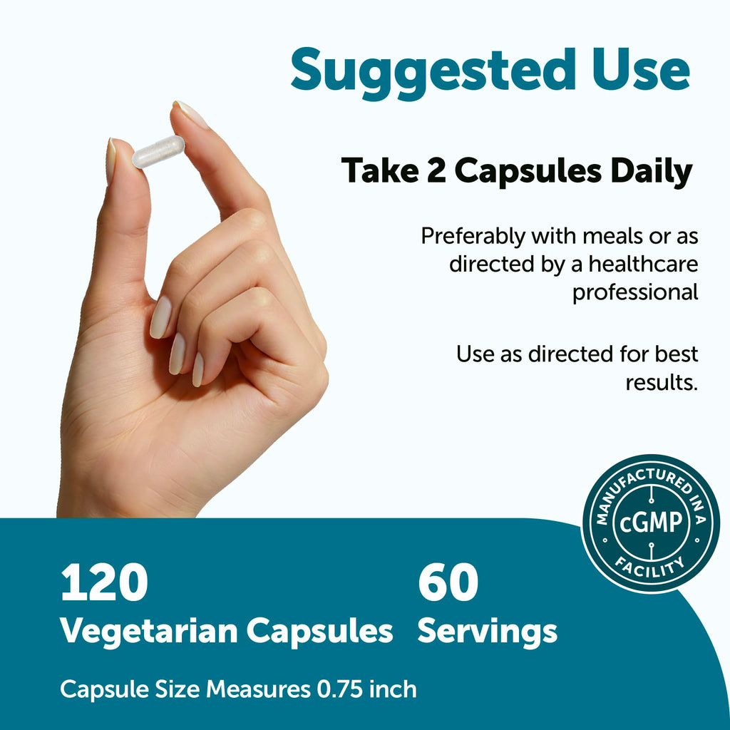 Micro Ingredients Probiotics for Men 100 Billion CFU, 40 Strains, 120 Vegetarian Capsules | Pre, Probiotics, Postbiotics & Enzymes | Pre, Probiotics, Enzymes, Saw Palmetto, Pumpkin Seed & Lycopene