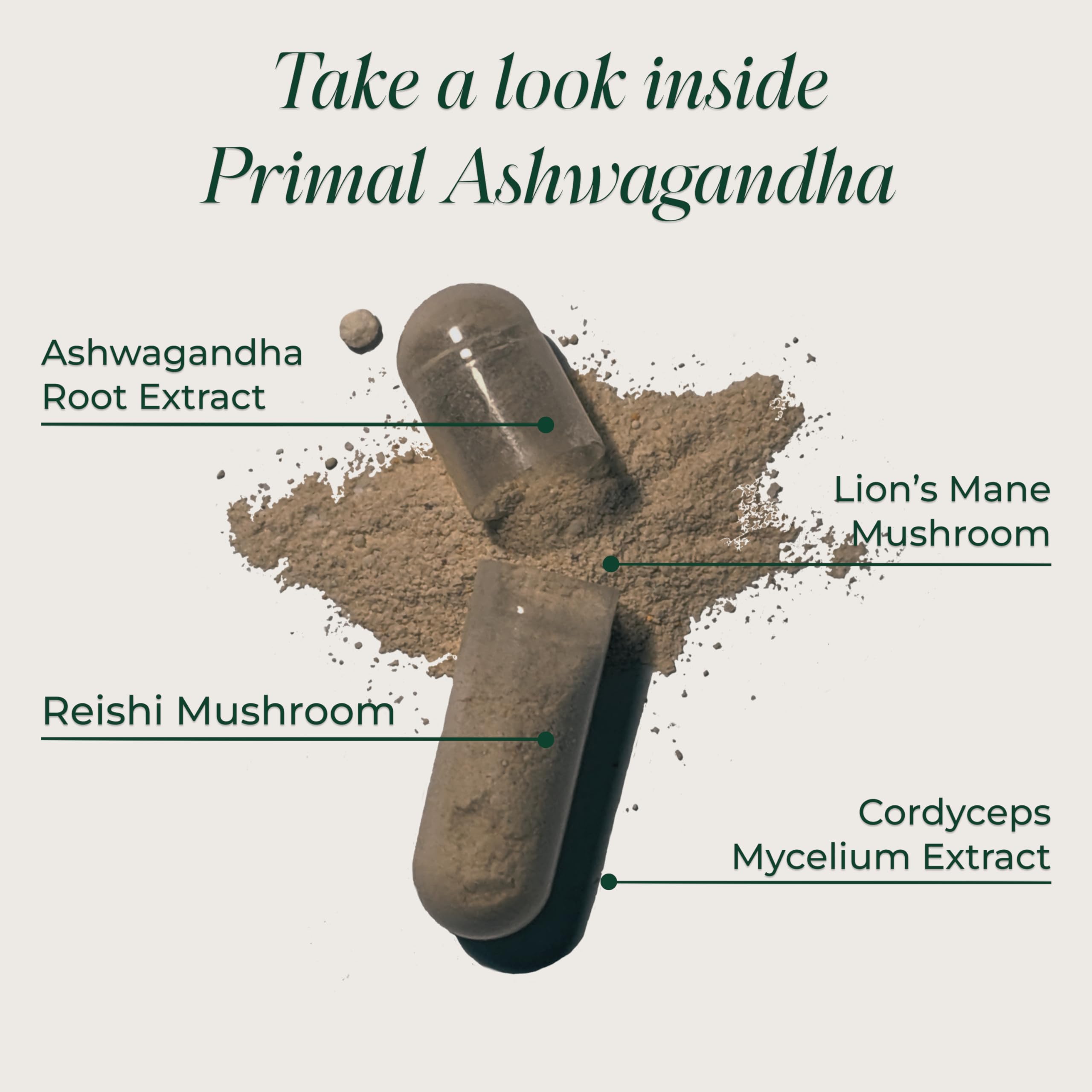 Primal Harvest Ashwagandha Supplement with 5 Mushroom Extracts: Lion’s Mane, Reishi, Cordyceps, Turkey Tail & Maitake for Immune Support & Cognitive Health Primal Harvest Au supplements