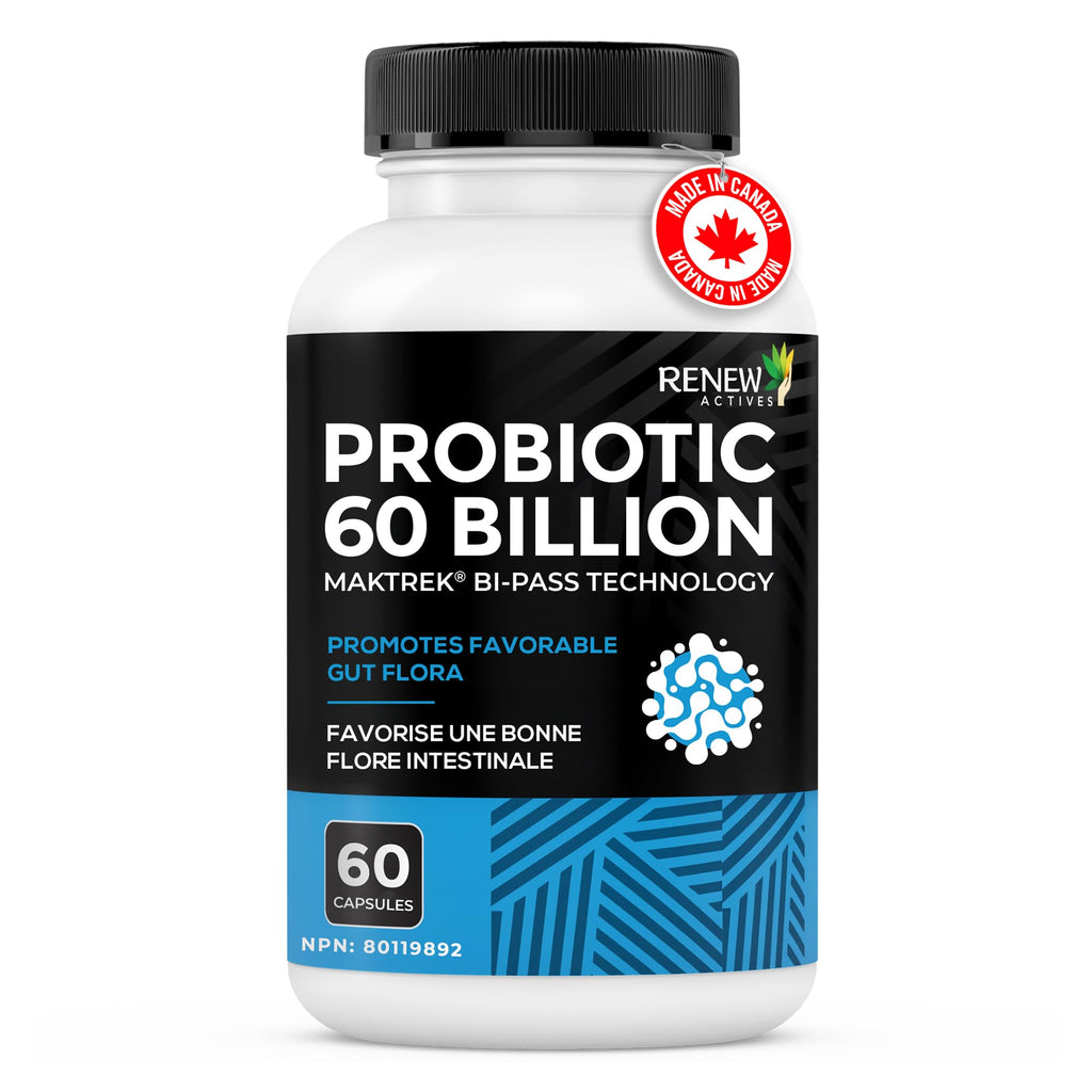 Renew Actives Probiotic Supplement for Digestive Health 60 Billion CFU per 2 Capsules - Advanced Formula with Prebiotic Benefits - Supports Gut Flora Balance & Wellness - Made in Canada - 60 Capsules Renew Actives Au supplements