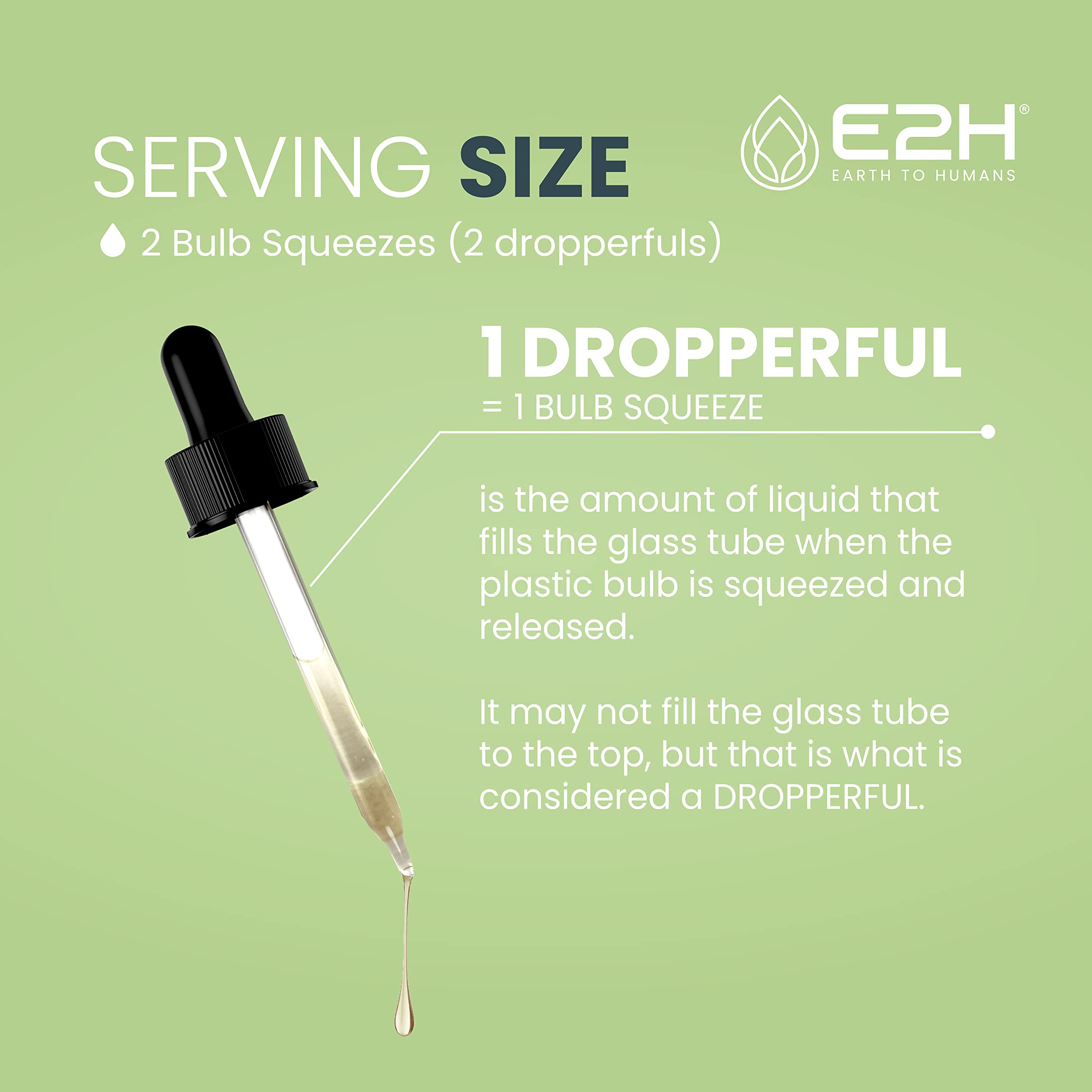 E2H Ashwagandha Liquid Drops - All-Natural Ashwagandha Supplement for Stress Relief and Mood Enhancer- Organic Ashwagandha Root Extract Effective Cortisol Manager | Non-GMO, Vegan | 2 Fl Oz E2H EARTH TO HUMANS Au supplements