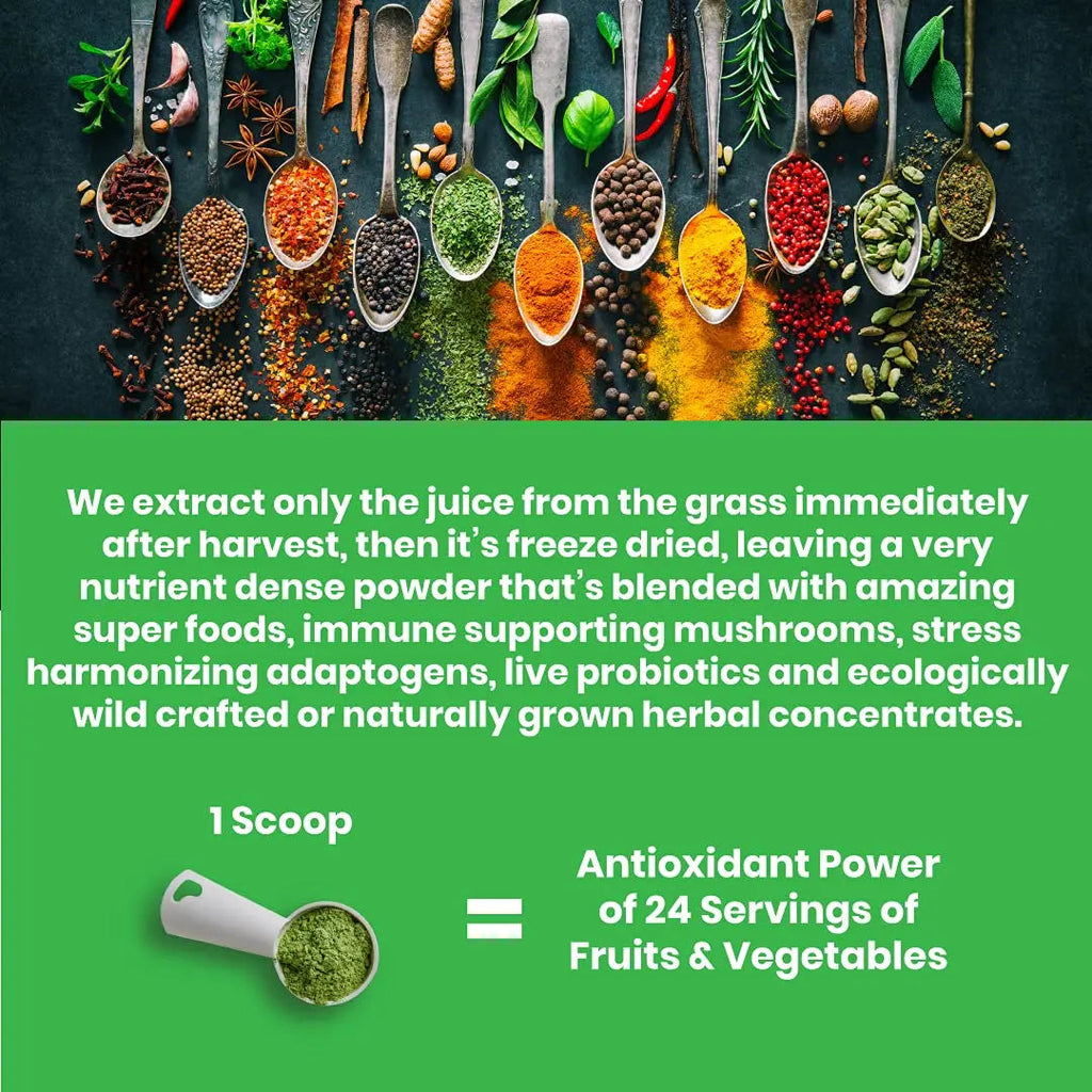 Paradise ORAC Energy Greens Powder Extract, Super Antioxidants, Probiotics for Gut Paradise Herbs Au supplements