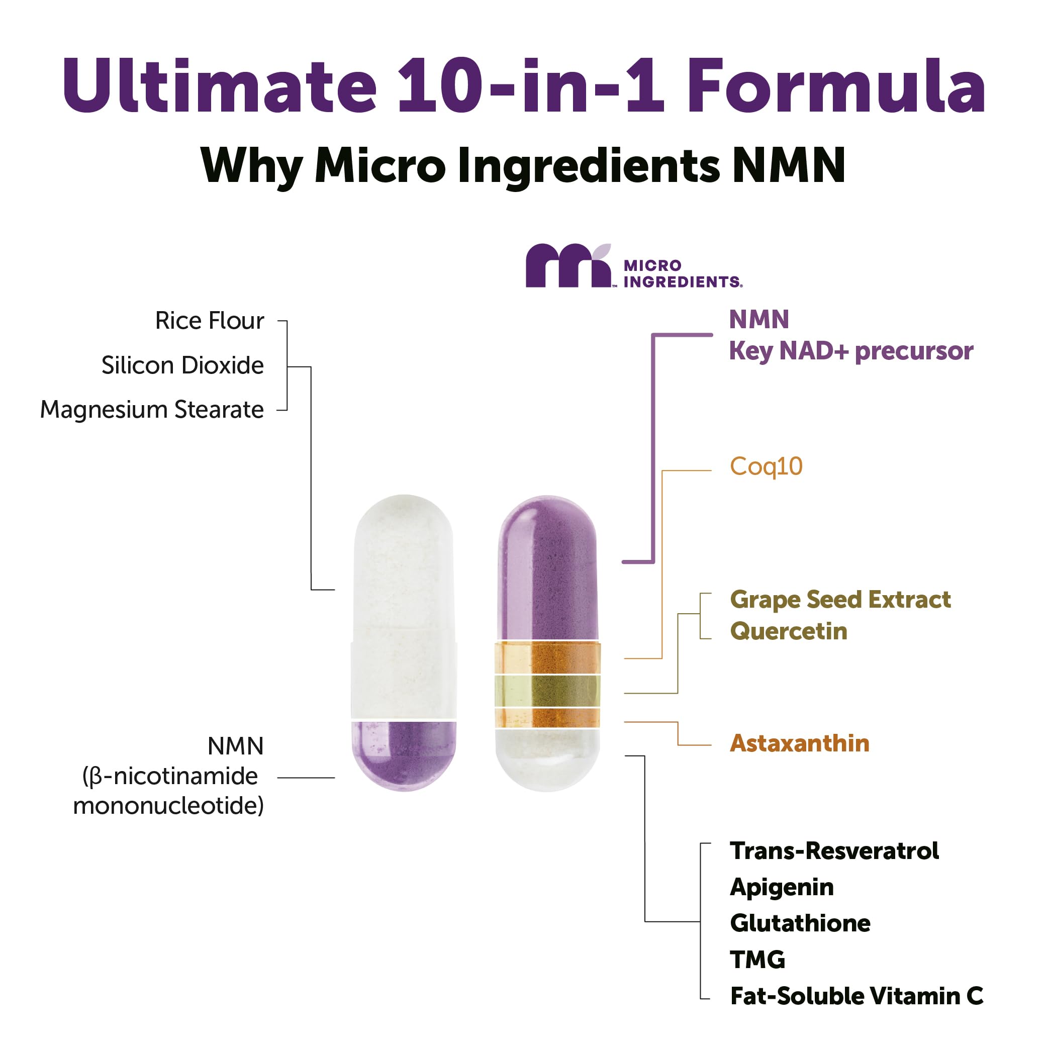 Micro Ingredients NMN Complex 1000mg Per Serving, 120 Veggie Capsules | 10-in-1 with Nicotinamide Mononucleotide, Resveratrol, CoQ10, Quercetin & Glutathione