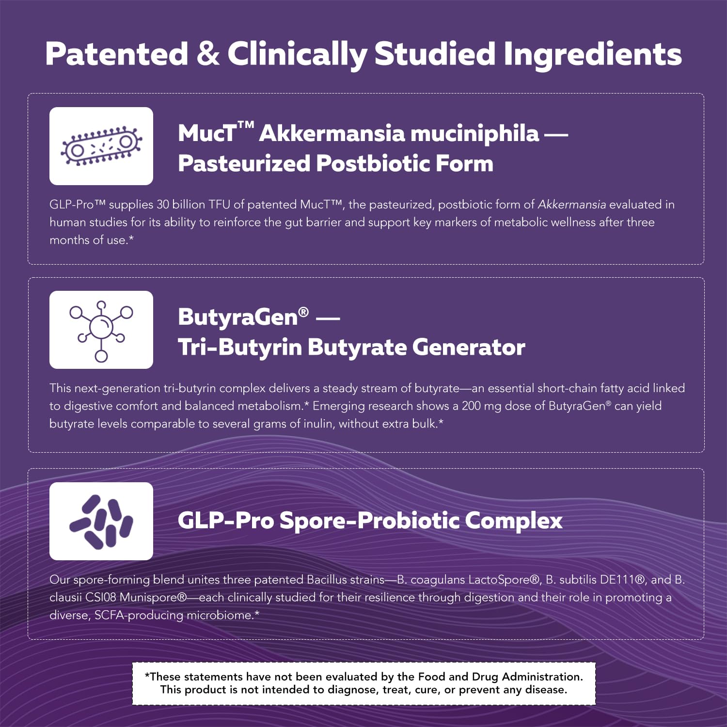 GLP-Pro™: Probiotic & Postbiotic Blend for Natural GLP-1 Support — Akkermansia MucT™, ButyraGen® Butyrate Generator & Spore Bacillus — Healthy Appetite, SCFA & Metabolic Balance — 30 Count Triquetra Health Au supplements