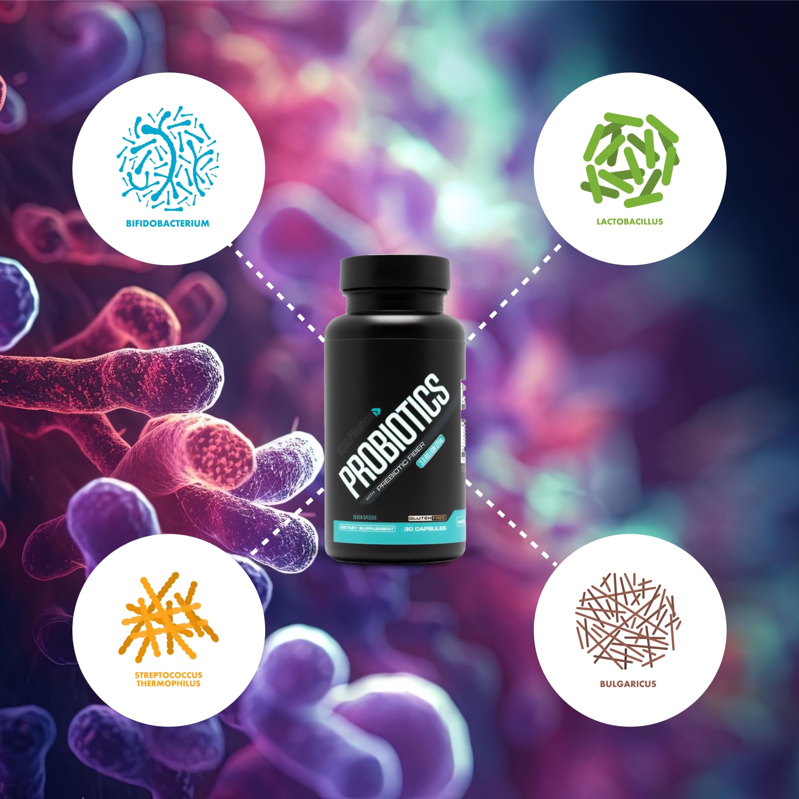 Sculpt Nation by V Shred Premium Probiotics - Digestive & Gut Health Support - Helps with Occasional Constipation, Gas and Bloating - 30-Day Supply Sculpt Nation Au supplements