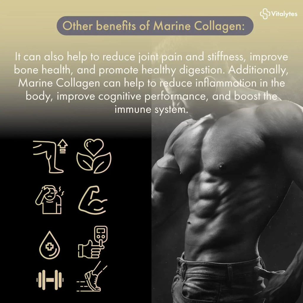Vitalytes Marine Collagen Supplement 2400mg | 120 Marine Collagen Capsules Made in The UK Vitalytes Au supplements