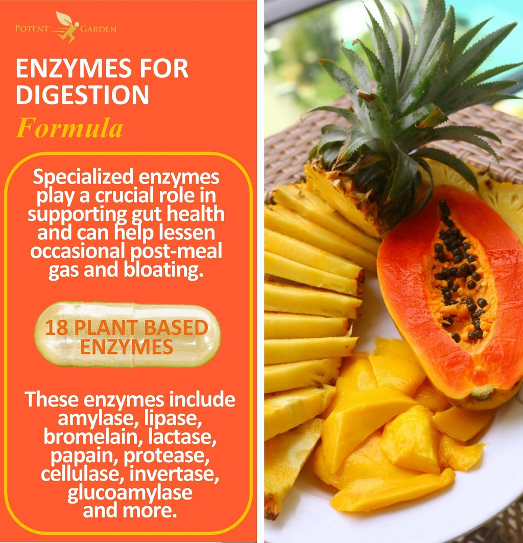 Potent Garden Digestive Enzymes -18 Plant Based Enzymes with amylase lipase bromelain Protease lactase & Other Enzymes - One Pre Meal Pill Supports Healthy