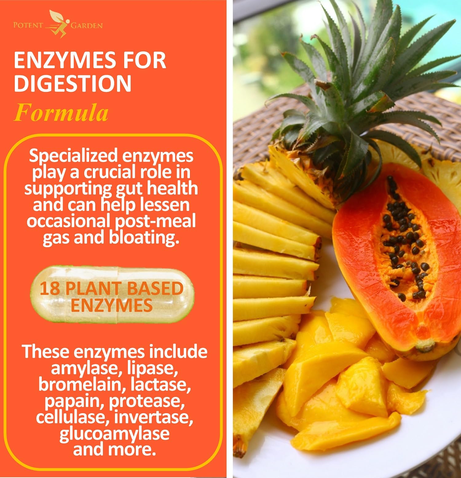 Potent Garden Digestive Enzymes -18 Plant Based Enzymes with amylase lipase bromelain Protease lactase & Other Enzymes - One Pre Meal Pill Supports Healthy