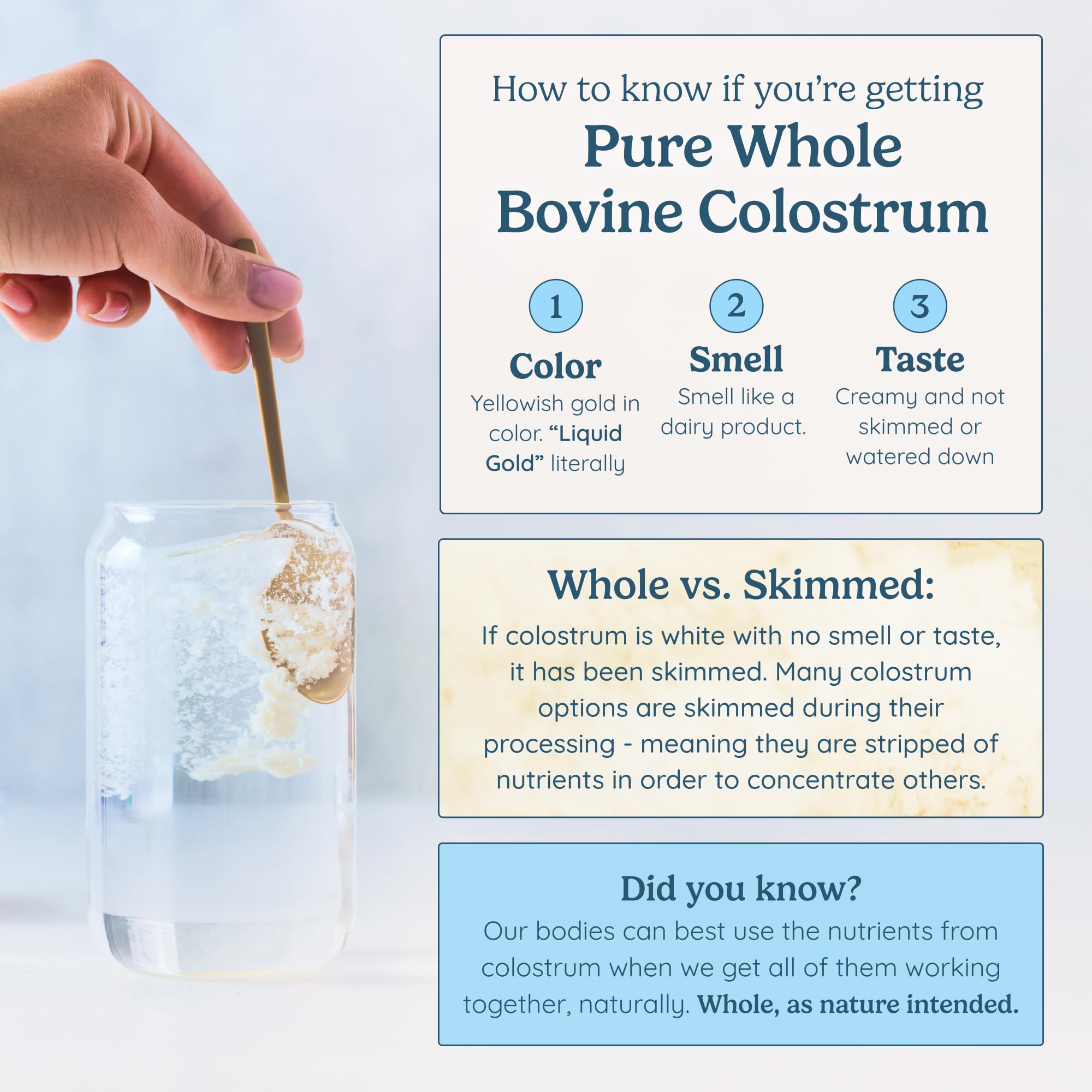WONDERCOW Colostrum Supplement Powder for Gut Health, Immune Support & Wellness | Natural IgG Pure Whole Bovine Colostrum Superfood