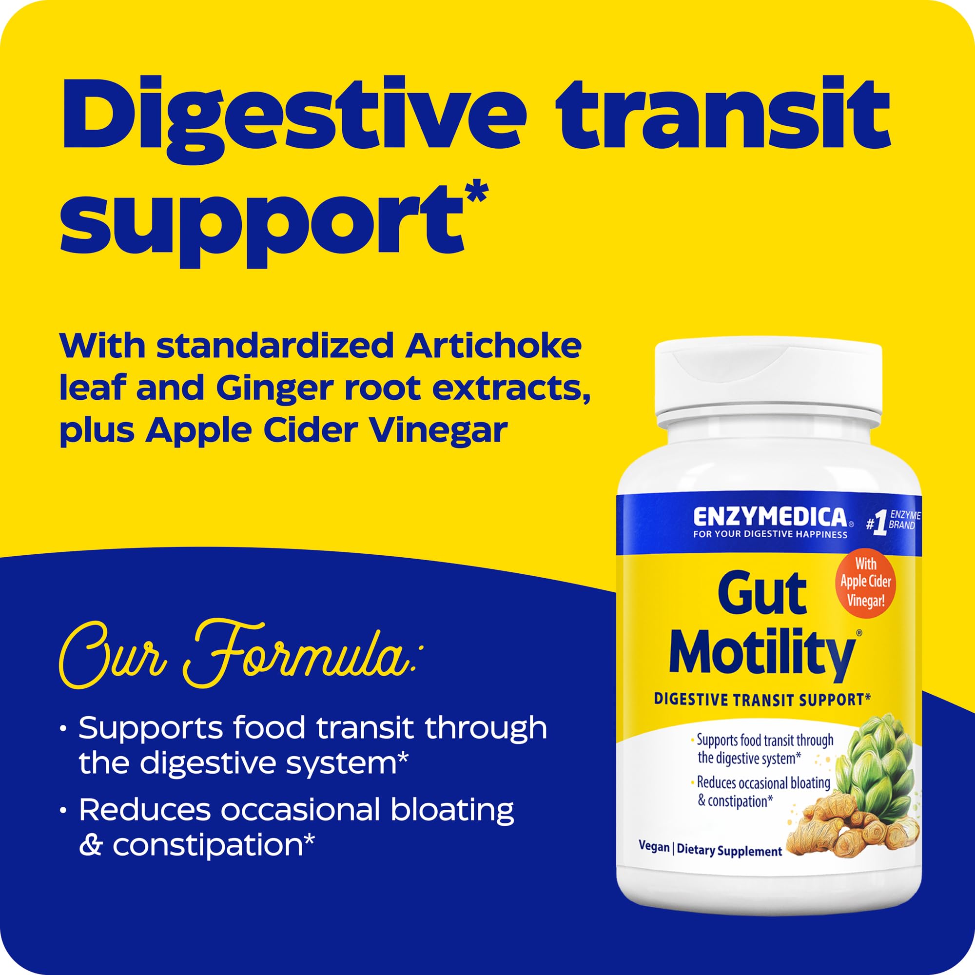Enzymedica Gut Motility Supplement for Men & Women - Apple Cider Vinegar Capsules with Artichoke & Ginger Extract, Digestive Health Support for Adults