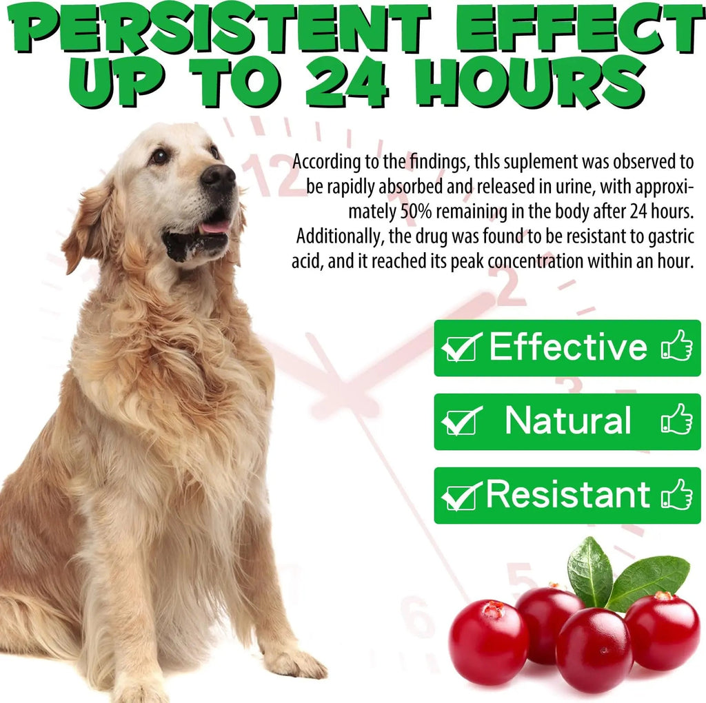 Dog UTI Treatment - Urinary Tract Infection Treatments, Kidney+Bladder Support Supplement, Natural Cranberry Extract for Dogs, Supports Urinary and Digestive Health (2 Fl Oz (Pack of 2)) Onznoz Au supplements
