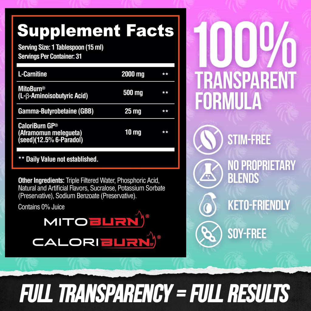 ALPHA LION Burn2O L-Carnitine Liquid 2000mg – Stim Free Super Thermogenic Fat Burner with MitoBurn® & CaloriBurn GP®, Metabolism Booster, Zero Calorie