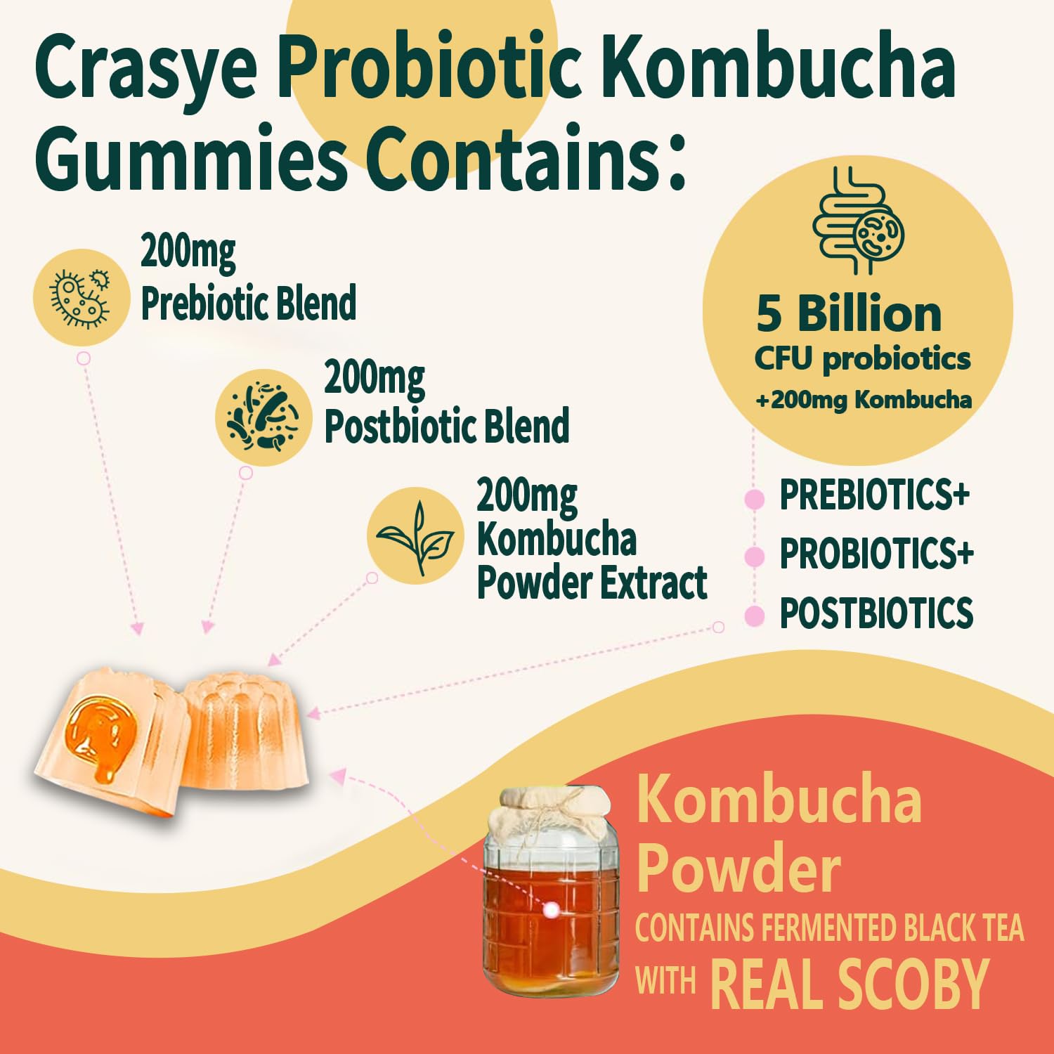 Crasye Probiotic Kombucha Gummies Sugar Free Prebiotic Postbiotic Probiotics Gummy for Women and Men Bloating Gut Health Immune and Digestive Support - 60 Gummies - 30 Servings Crasye Au supplements