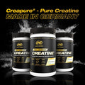 PVL Creapure Creatine – 100% Pure German Creatine Monohydrate Powder-Pharmaceutical Grade Muscle Building Supplement for Strength Training, Pre Workout & Post Workout Protein Support–410g 82 Servings