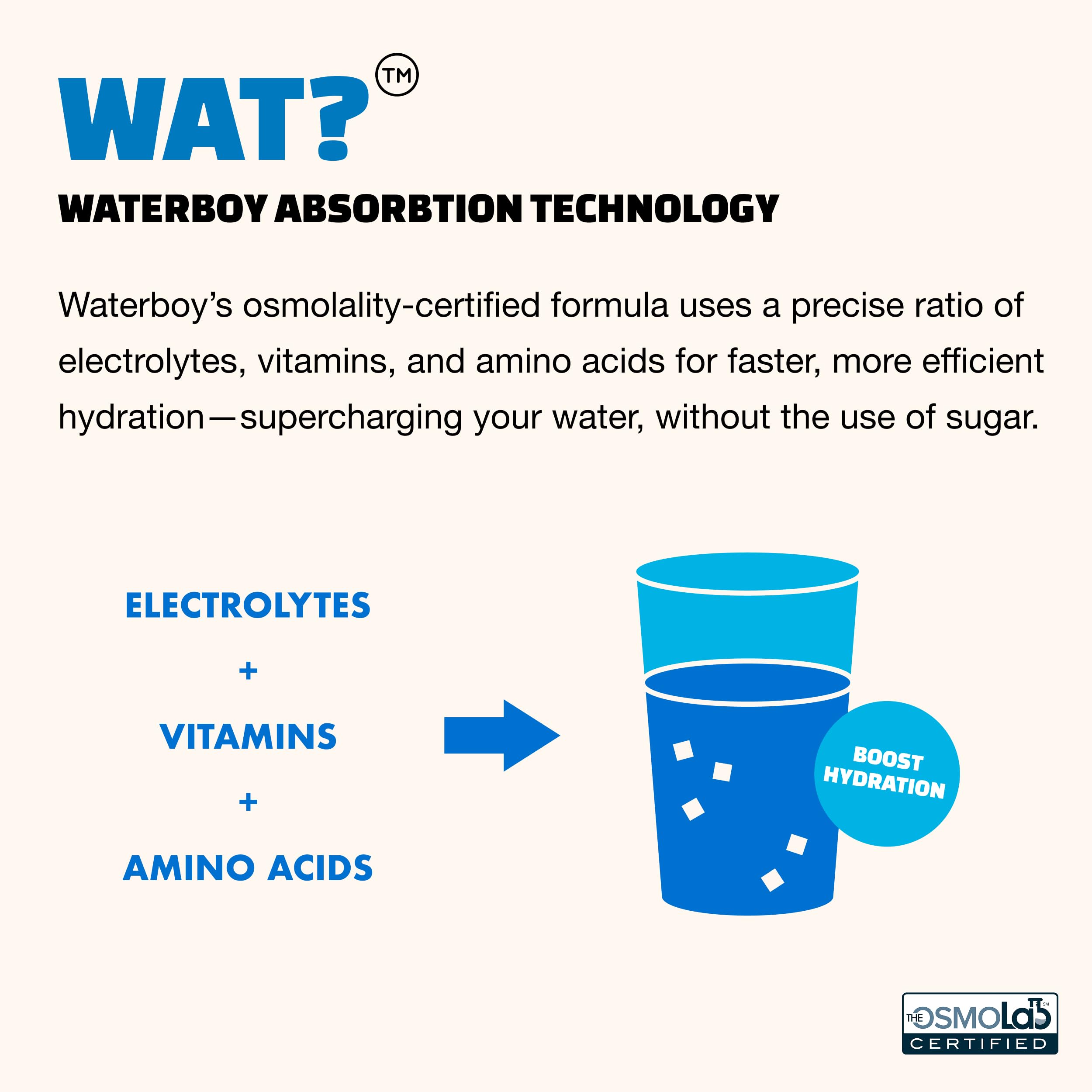 Waterboy Daily Hydration | 1,570mg Electrolyte Powder Packets | No Sugar, All Natural, Gluten Free, Zero Calories | 15 Drink Stick Mixes (Watermelon)