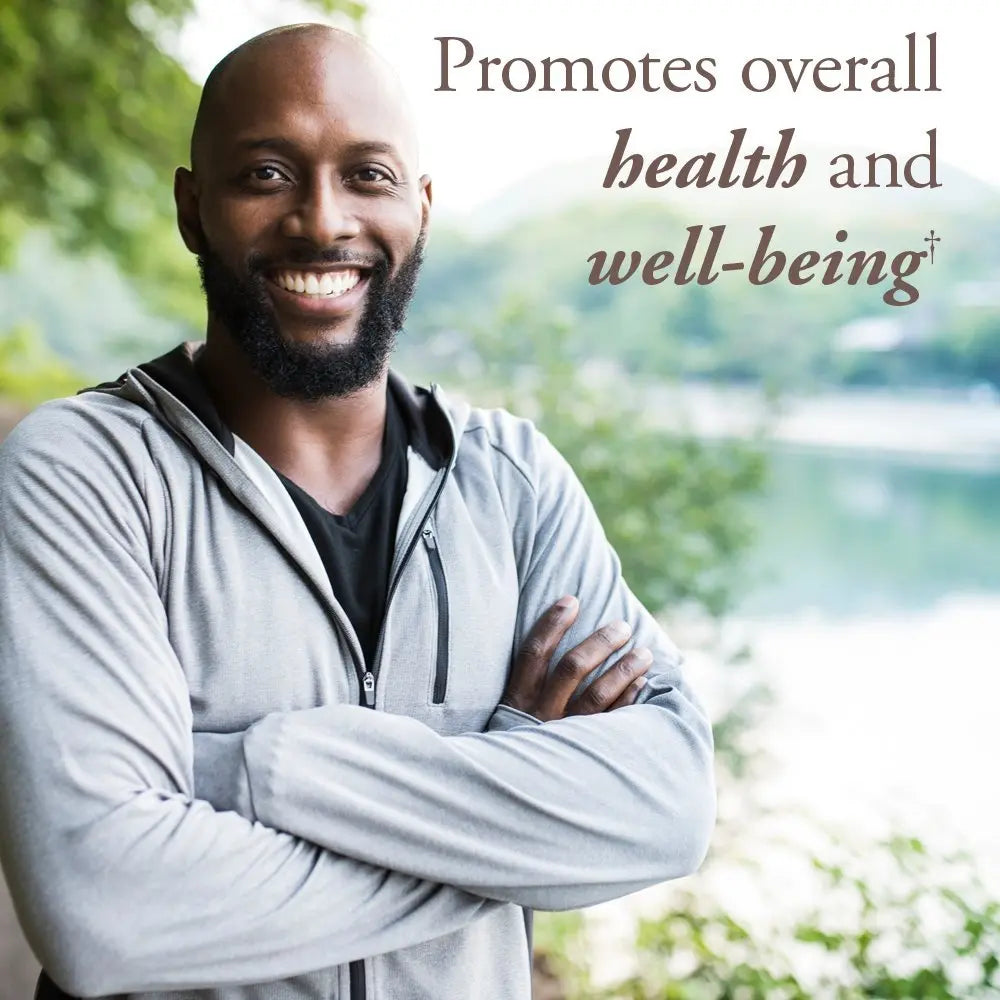 Garden of Life Organics Whole Food Multivitamin for Men 40+ 120 Tablets, Vegan Mens Multi for Health Garden of Life Au supplements