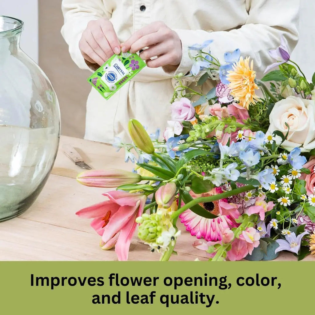 Chrysal Clear Flower Food Packets – Single Packet – Flower Arrangements & Bouquets – Floral Supplies Chrysal Au supplements