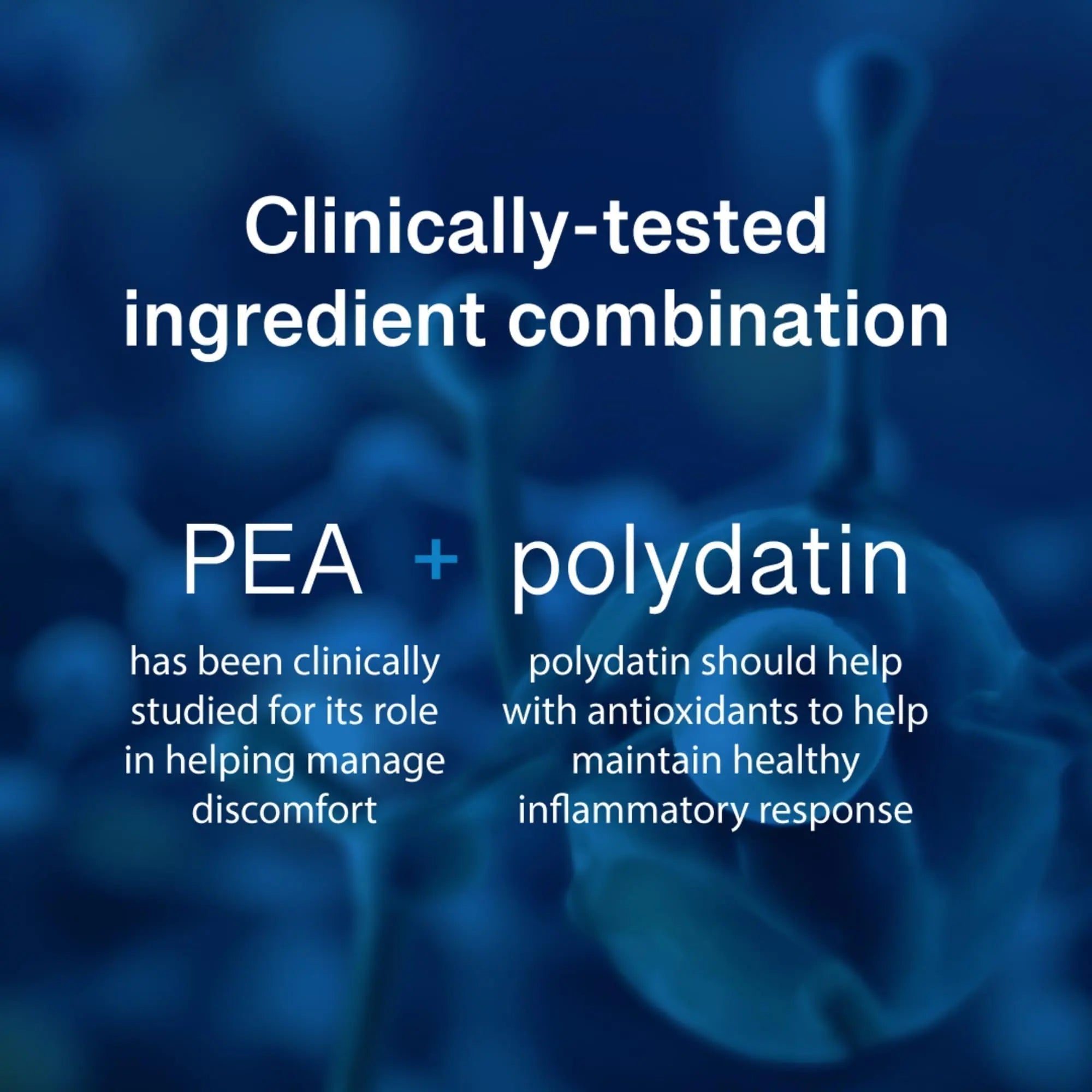PEAlief Pea + Polydatin – New Bladder & Urinary Comfort Support with Clinically Tested Ingredient Combination — One Pill Per Day, 60 Day Supply PEAlief Au supplements