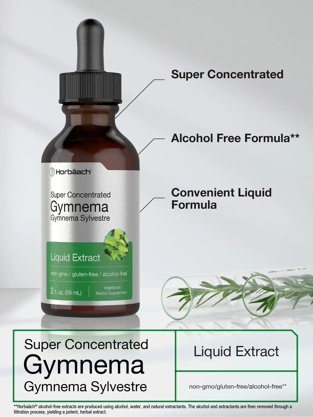 Gymnema Sylvestre Liquid | 2 fl oz | Alcohol Free Supplement | Super Concentrated Horbäach Au supplements
