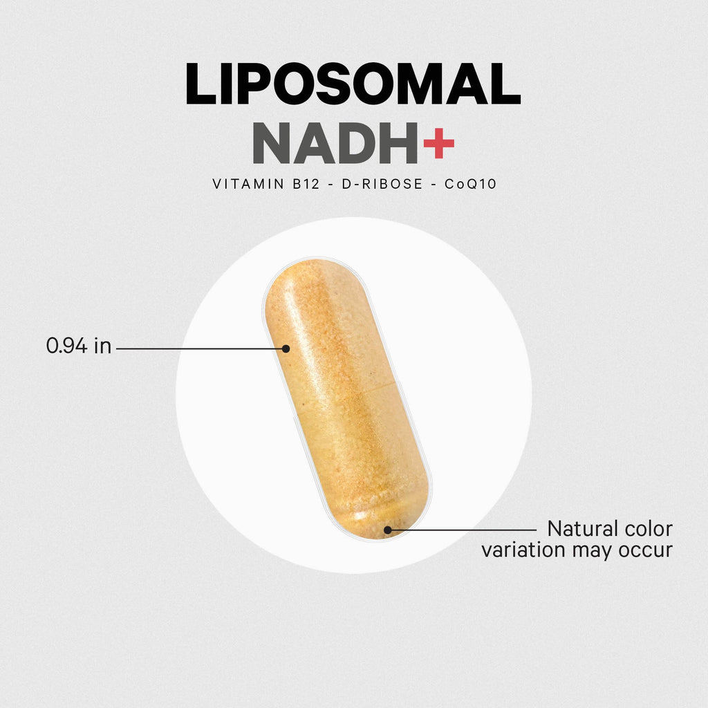 Codeage Liposomal NADH+ Supplement - NADH, Vitamin B12, D-Ribose as Bioenergy Ribose, CoQ10-2-Month Supply - Liposomal Delivery - β-Nicotinamide Adenine Dinucleotide Pills - Non-GMO - 60 Capsules Codeage Au supplements