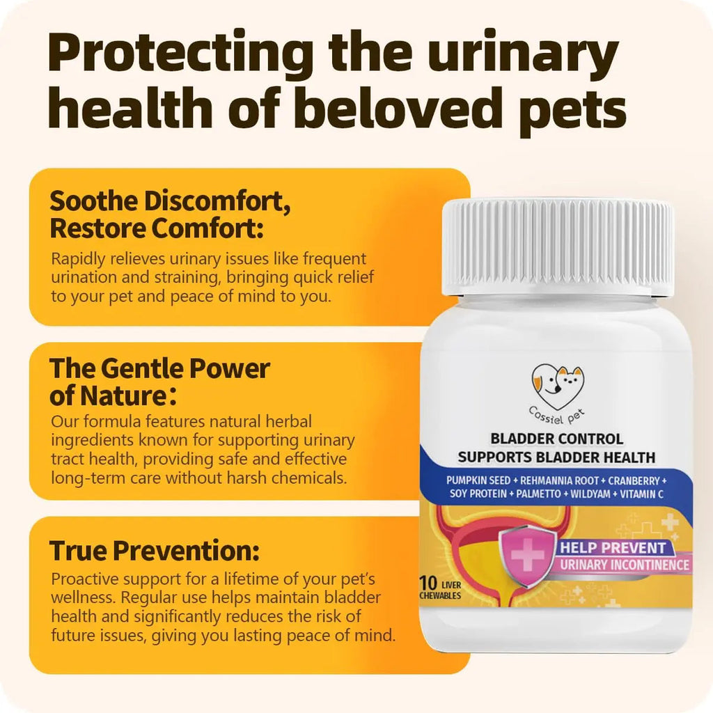 Cassiel Pet Bladder Supports Chews for Urinary Tract Health, Infection Treatments, Bladder Health, Dog UTI, Bladder Stones, Incontinence Support, Urinary Pain Relief for Cat & Dog 10 Chews (1 Bottle) Cassiel pet Au supplements