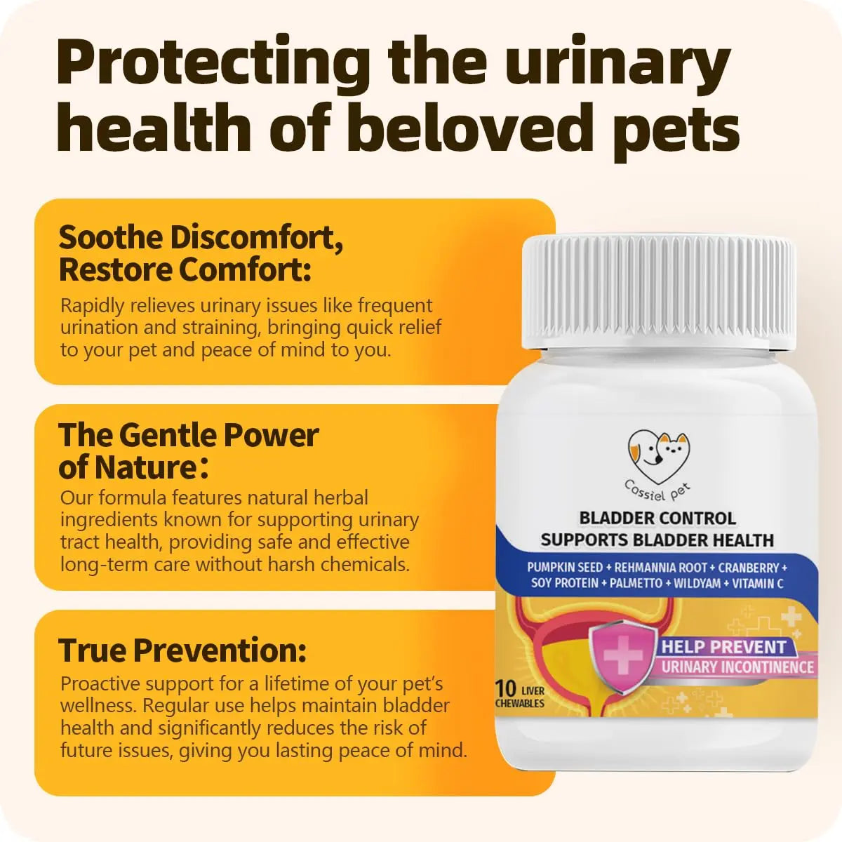 Cassiel Pet Bladder Supports Chews for Urinary Tract Health, Infection Treatments, Bladder Health, Dog UTI, Bladder Stones, Incontinence Support, Urinary Pain Relief for Cat & Dog 10 Chews (1 Bottle) Cassiel pet Au supplements