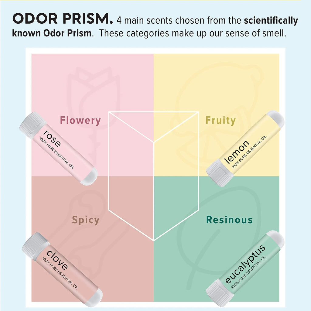 MOXĒ Smell Training Kit, Made in USA, 4 Essential Oils, Olfactory Regeneration, Helps Restore Sense MOXE Au supplements
