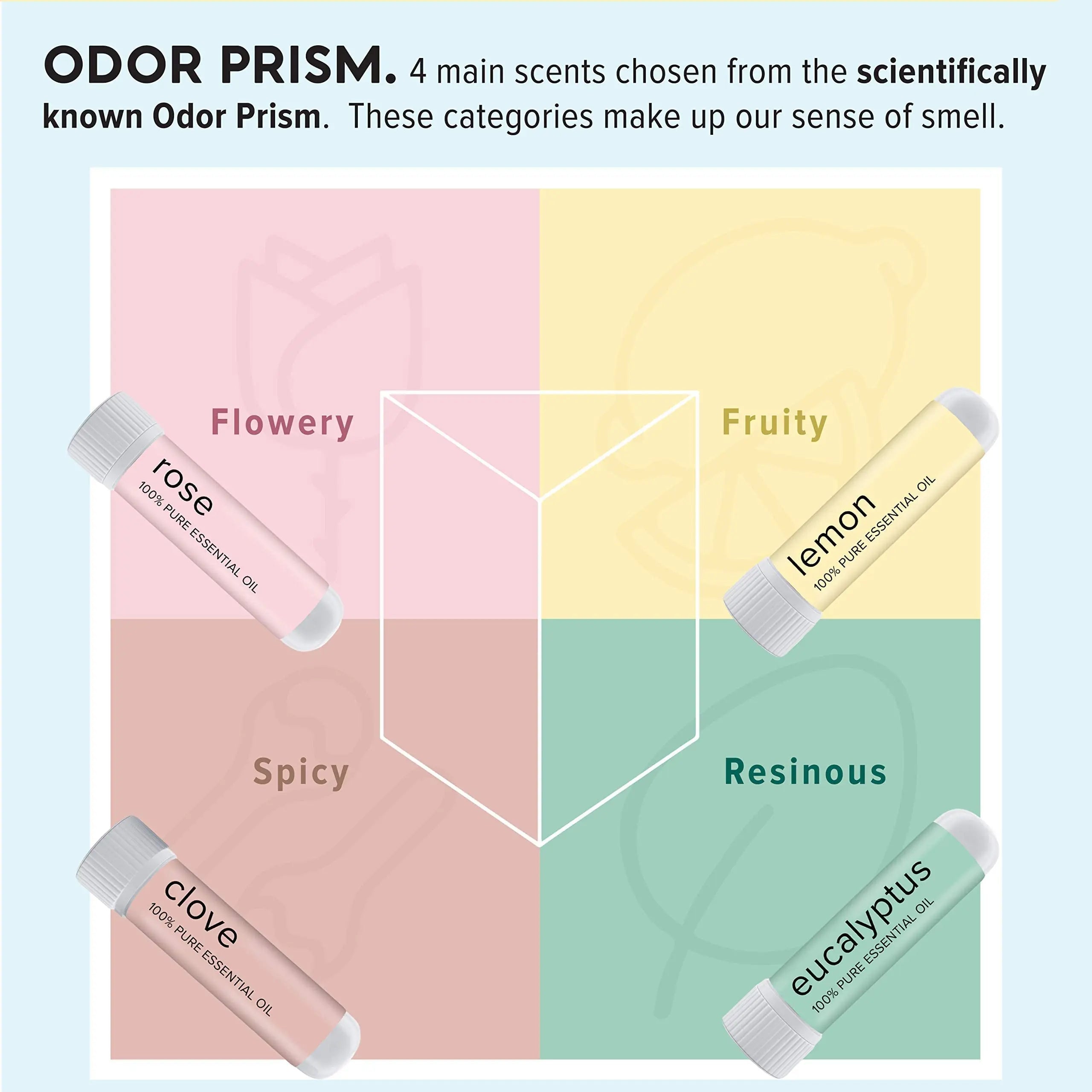 MOXĒ Smell Training Kit, Made in USA, 4 Essential Oils, Olfactory Regeneration, Helps Restore Sense MOXE Au supplements