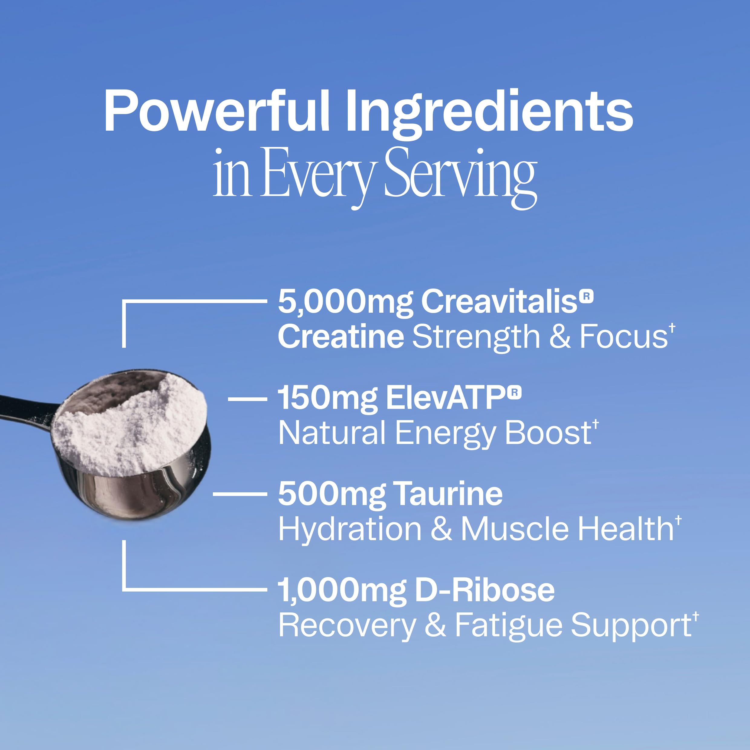 Ora Organic Creatine Monohydrate Powder - German-Sourced Creavitalis for Strength, elevATP for Energy, D-Ribose & Taurine for Recovery - Creatine for Women & Men - Acai Berry Flavor, 30 Servings Ora Organic Au supplements