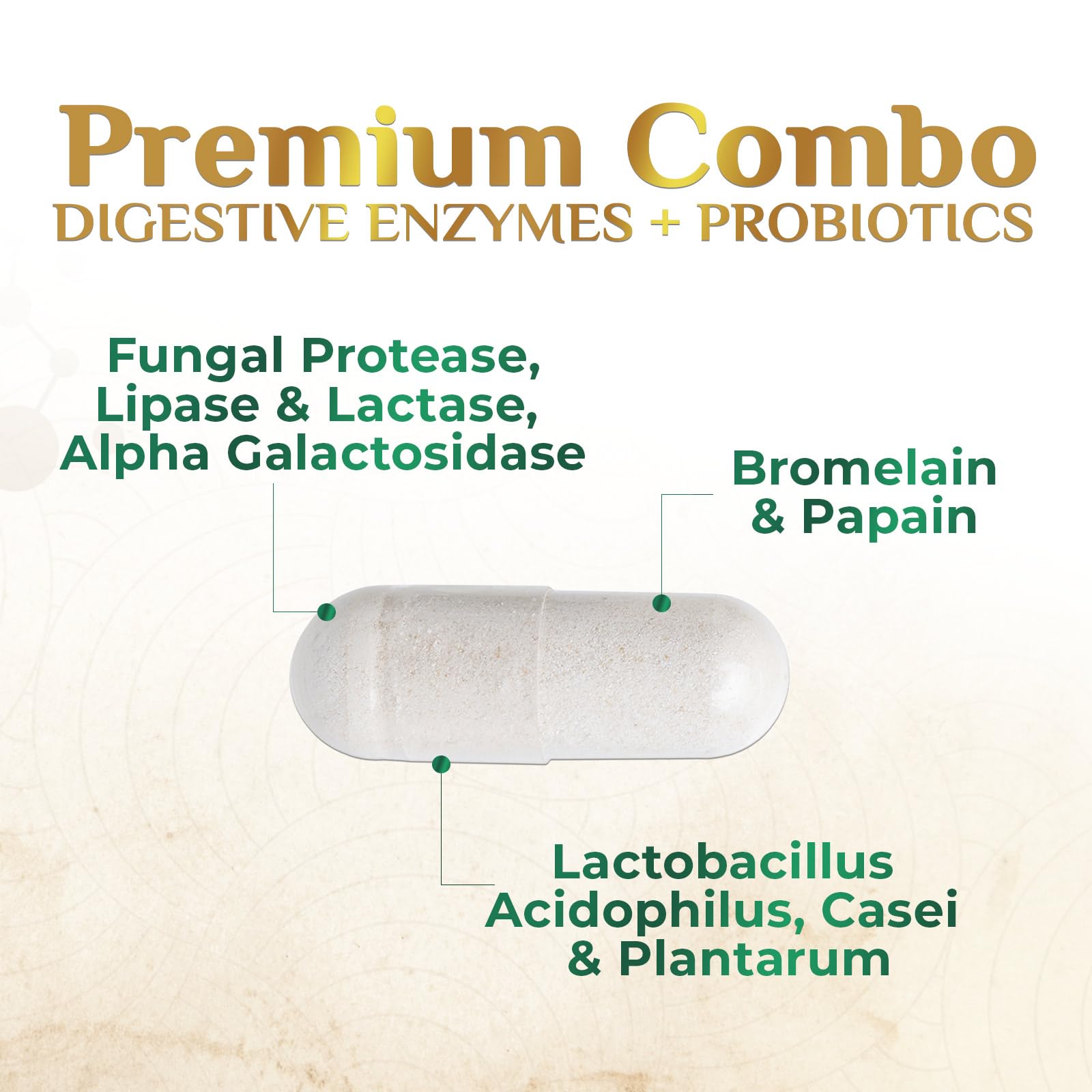 Digestive Enzymes - Super Digestive Multi Enzyme Complex for Bloating & Gut Health Support with Bromelain, Papain, Probiotics & Prebiotics - Digestion Health