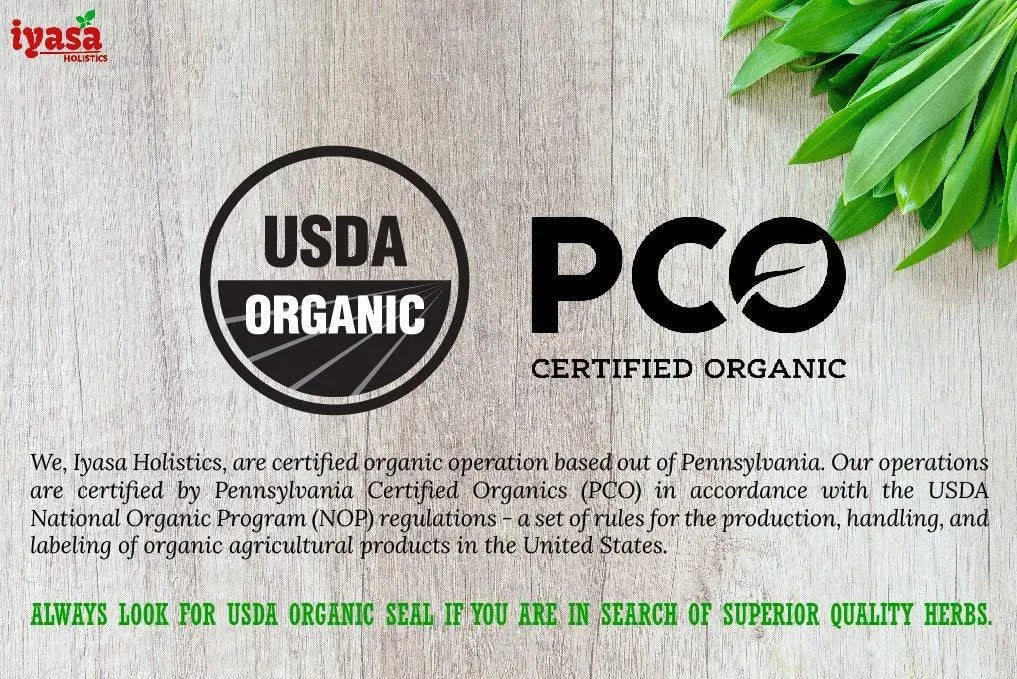 Iyasa Organic Beet Root Powder, Plant Based, Vegan, Gluten-Free, Beetroot Superfood Iyasa Holistics Au supplements