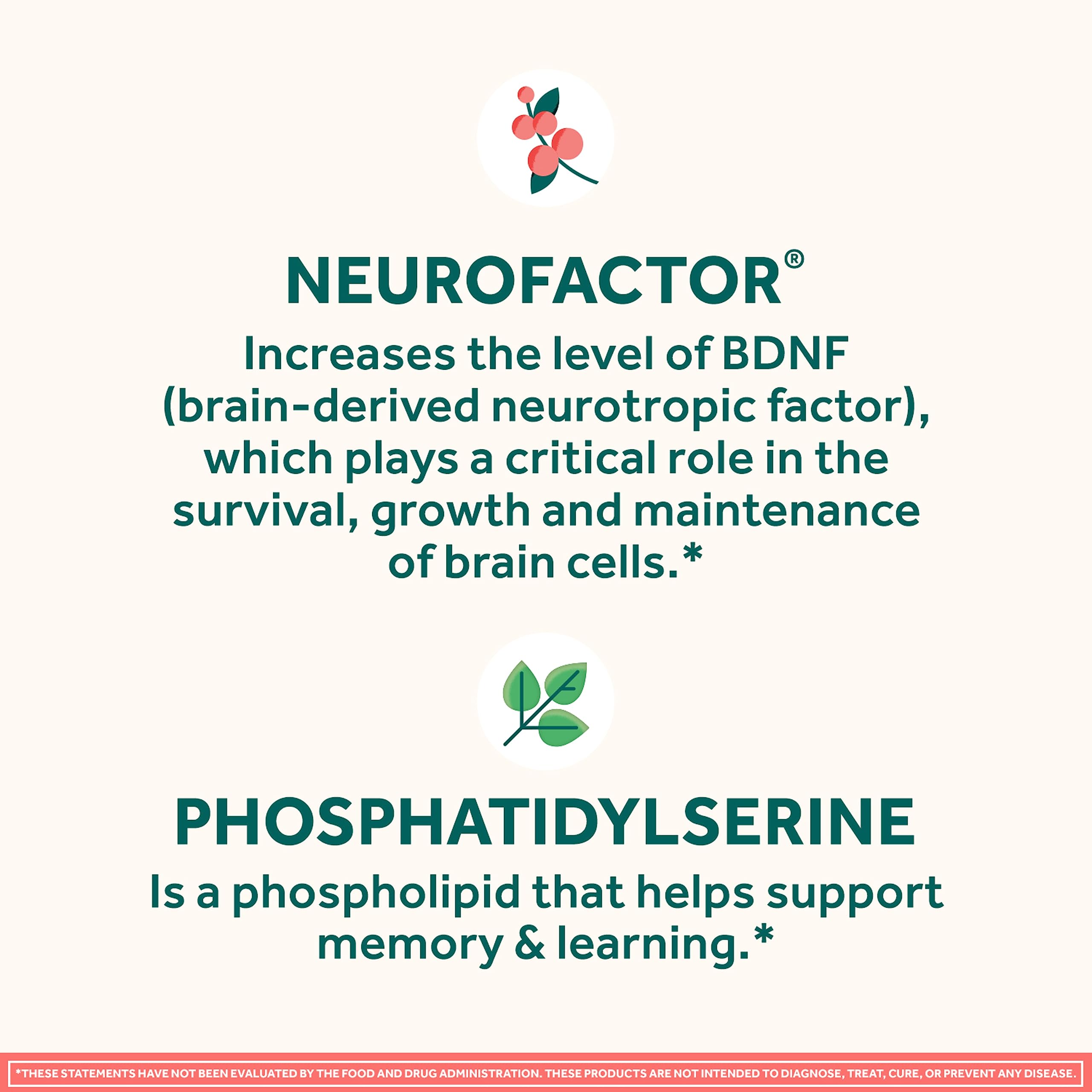 NEURIVA Original Decaffeinated Clinically Tested Nootropic Brain Supplement for Memory, Focus & Concentration, NeuroFactor & Phosphatidylserine, 28ct Capsules NEURIVA Au supplements