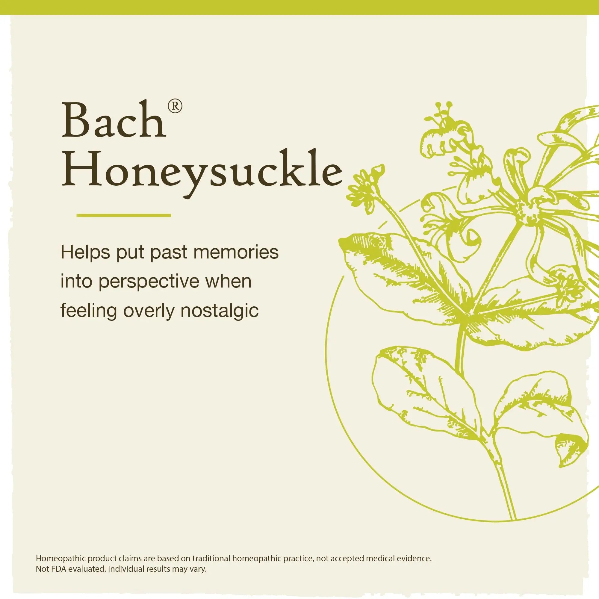 Bach Original Flower Remedies, Honeysuckle for Embracing The Now (Non-Alcohol Formula) Bach Au supplements