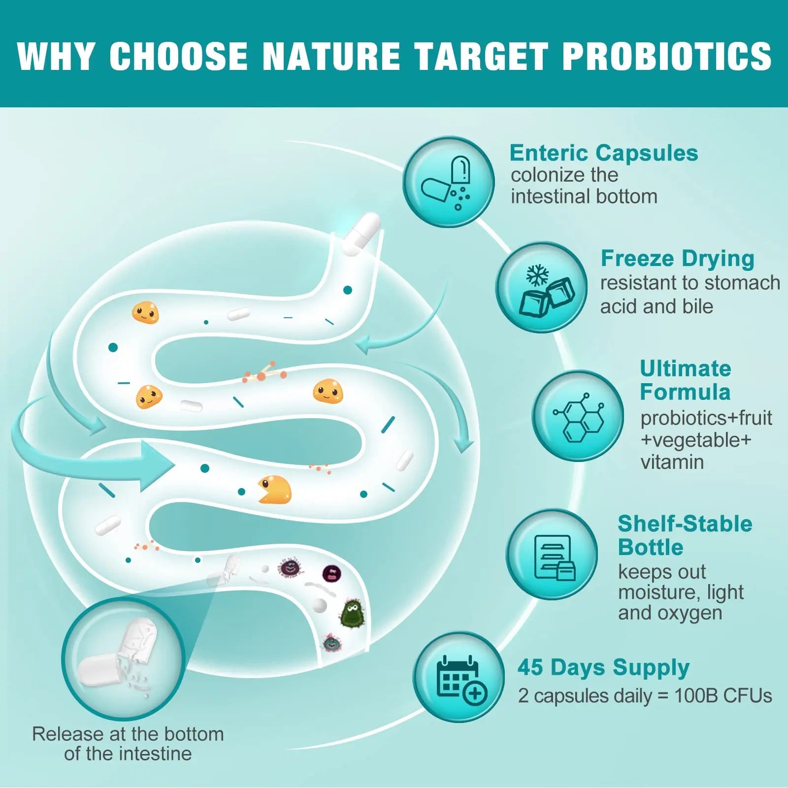 Probiotics for Women-Men-Kids Digestive Health, Prebiotics and Probiotics for Women NATURE TARGET Au supplements
