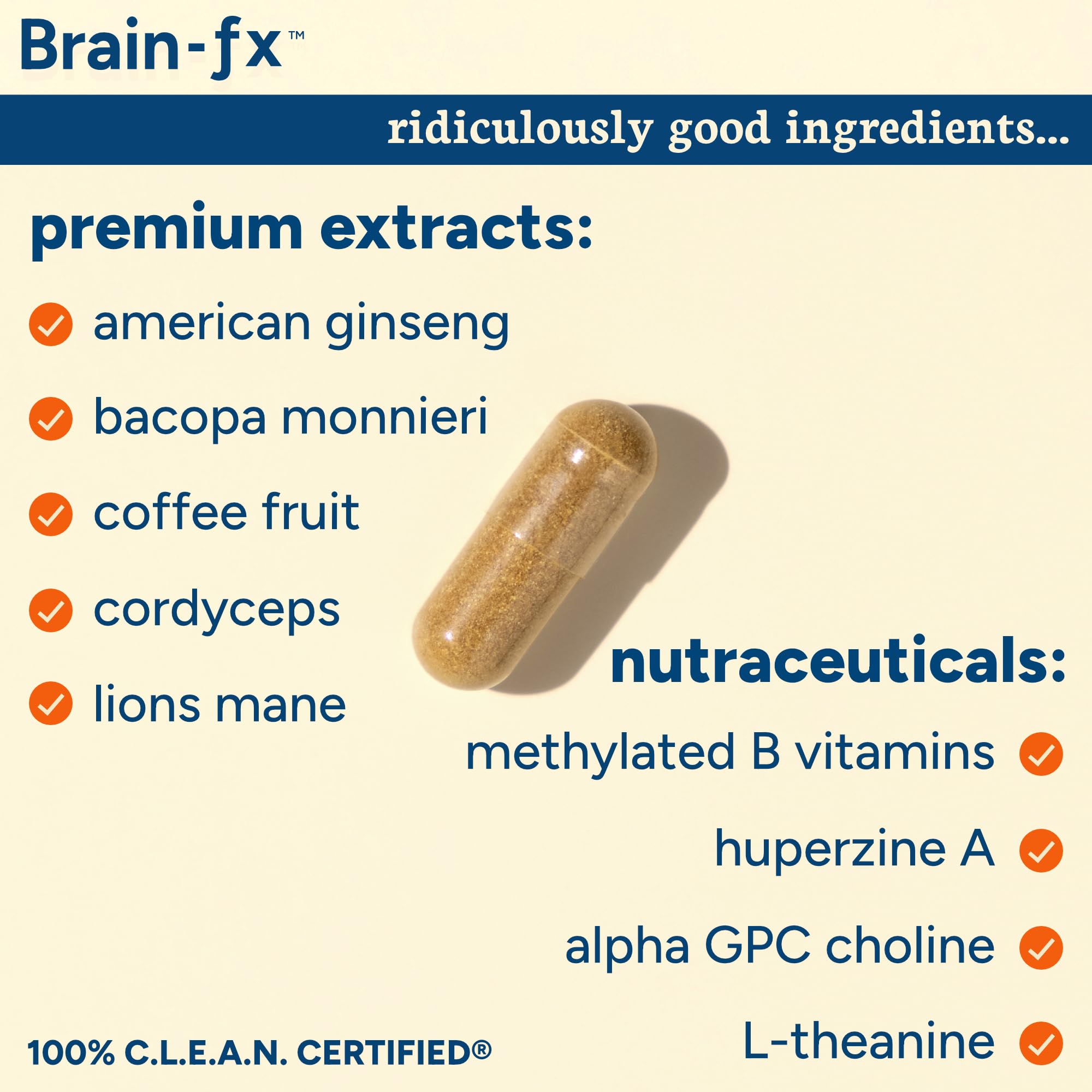 PPO Lab® Brain-fx™ Extended-Release Vitamins for Brain Health, Supplement for Memory and Focus with Nootropics, BDNF Factor, Methylated B Complex, L-Theanine