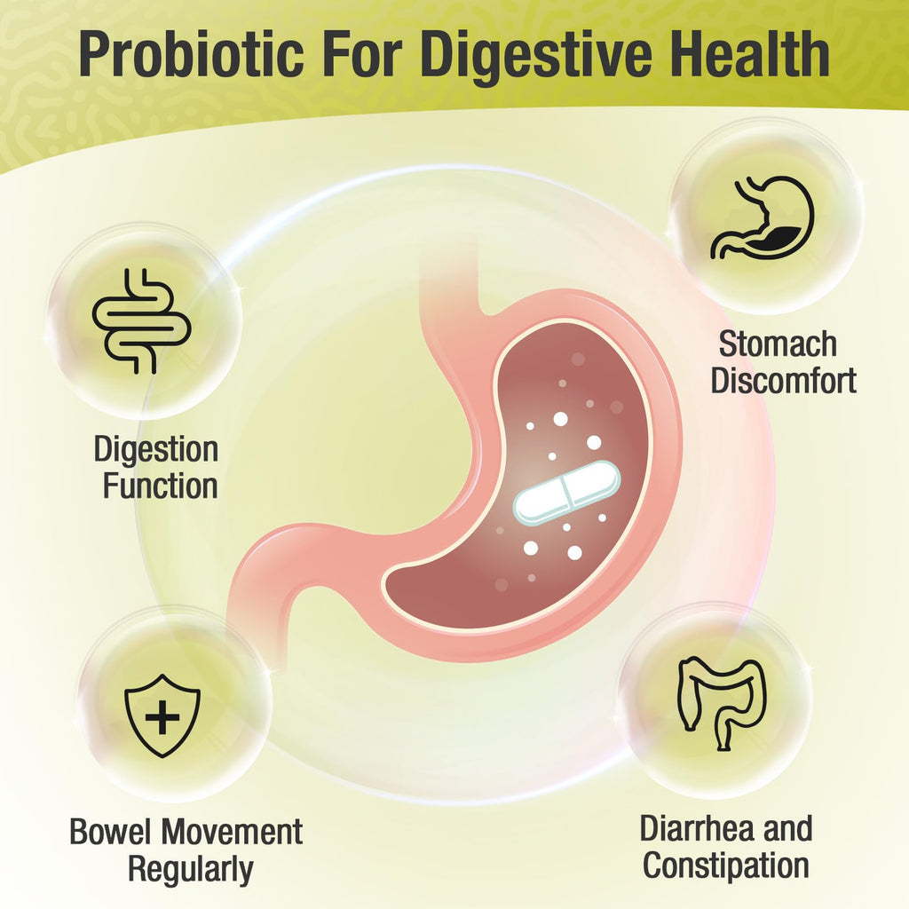 Ascuoli Probiotics for Women & Men - 300 Billion CFU, 24 Strains Probiotics + 15 Organic Herbs Blend, Daily Probiotic for Digestive Health,