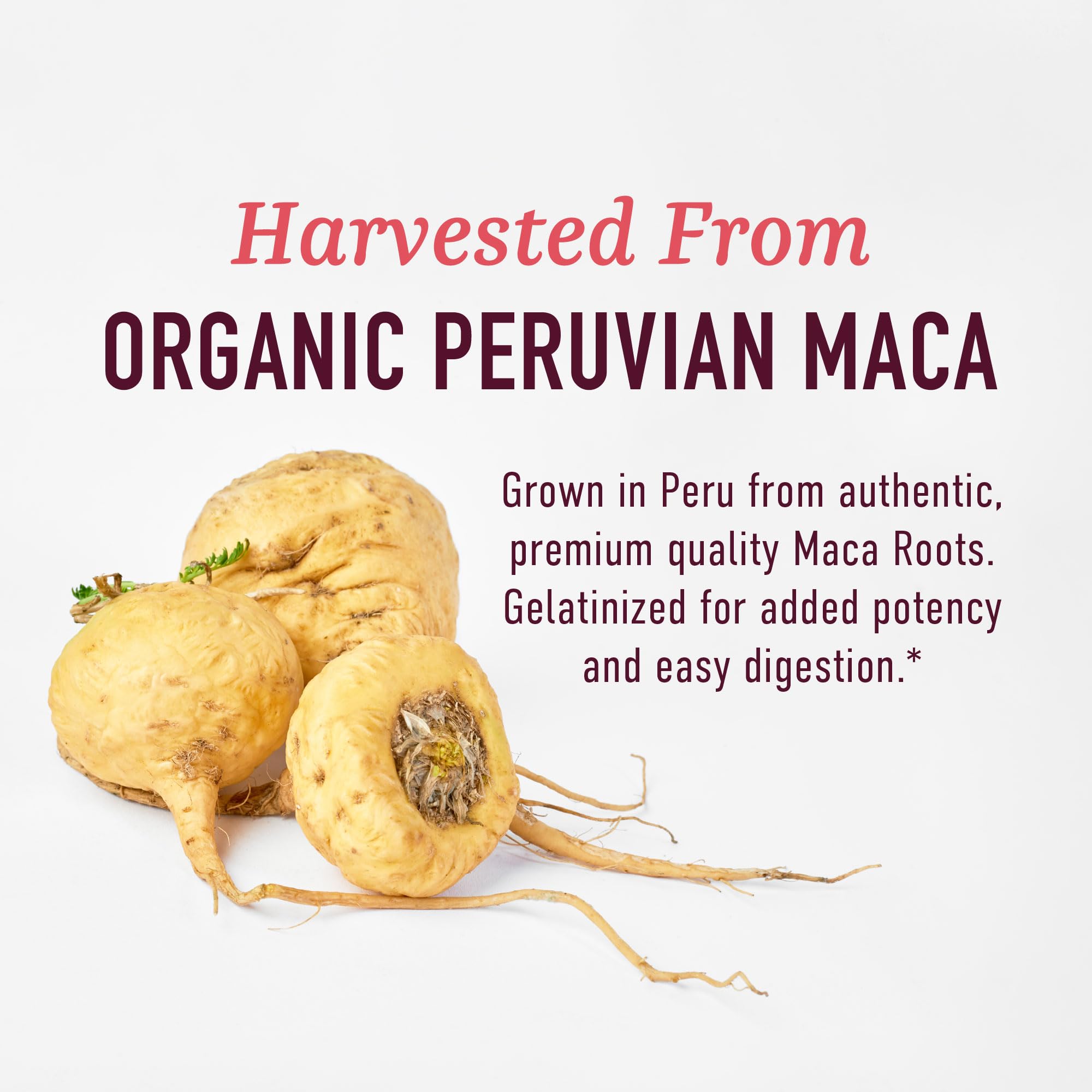 Organic Maca Root Capsules for Women | Peruvian Maca 2250MG Extra Strength | Red, Black & Yellow Root Powder with Black Pepper | Herbal Supplement