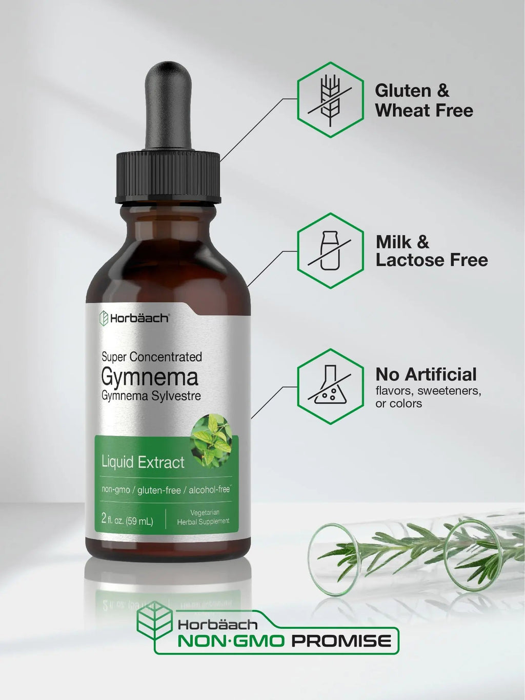Gymnema Sylvestre Liquid | 2 fl oz | Alcohol Free Supplement | Super Concentrated Horbäach Au supplements