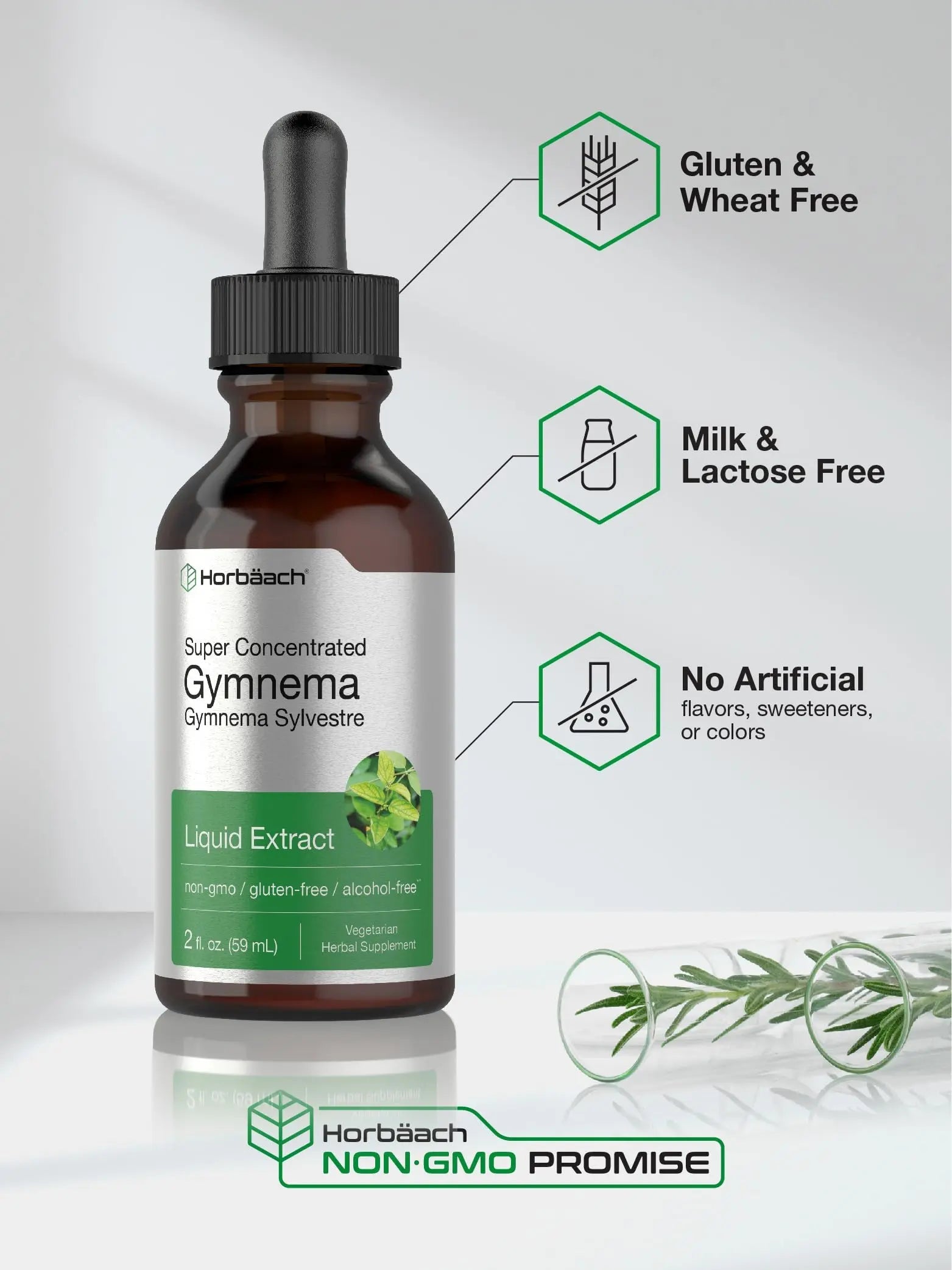Gymnema Sylvestre Liquid | 2 fl oz | Alcohol Free Supplement | Super Concentrated Horbäach Au supplements