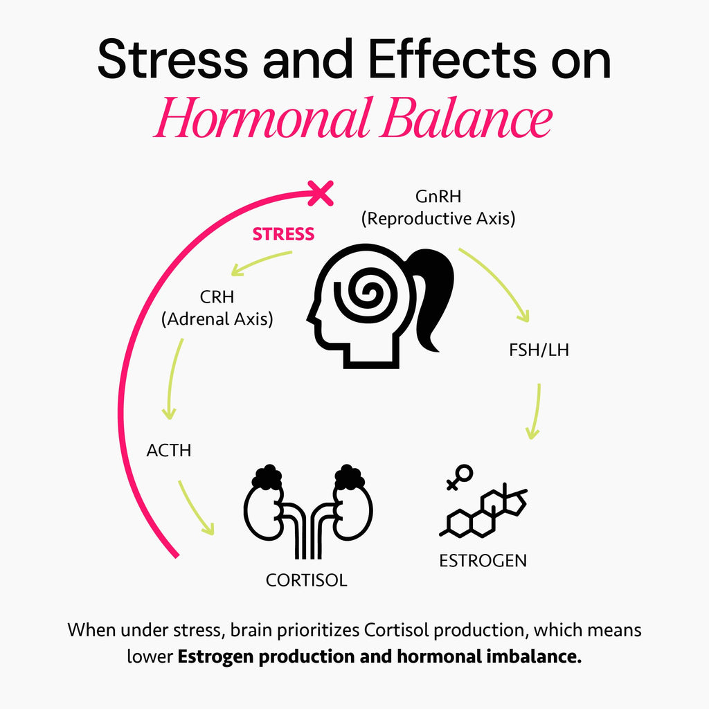 Ayurvedic Hormone Balance for Women | Cortisol Reducer | Mood, Energy, & Sleep Support | Regulates Estrogen | Stress Relief | Ashwagandha, Rhodiola, & Shatavari